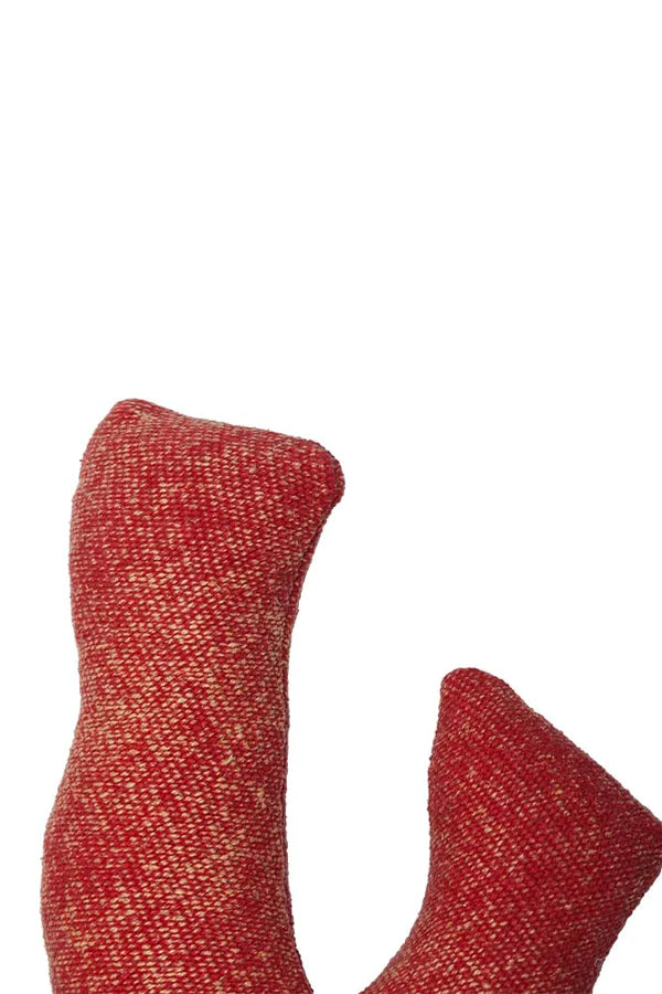 CUSHION CORAL Lorena Canals