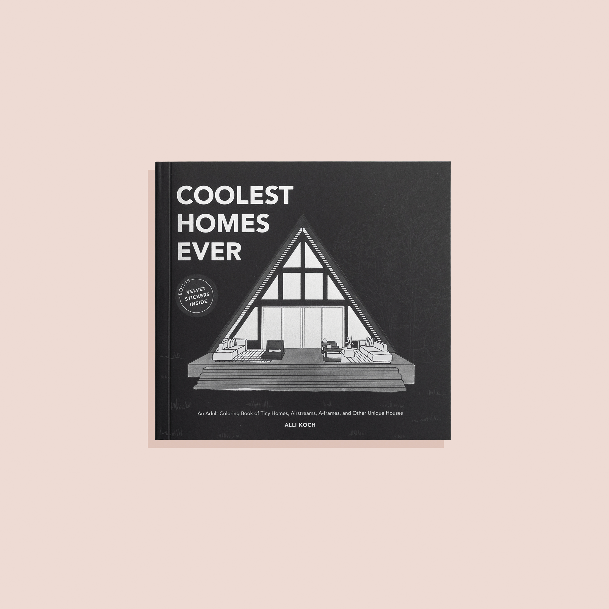 Coolest Homes Ever (Mini)