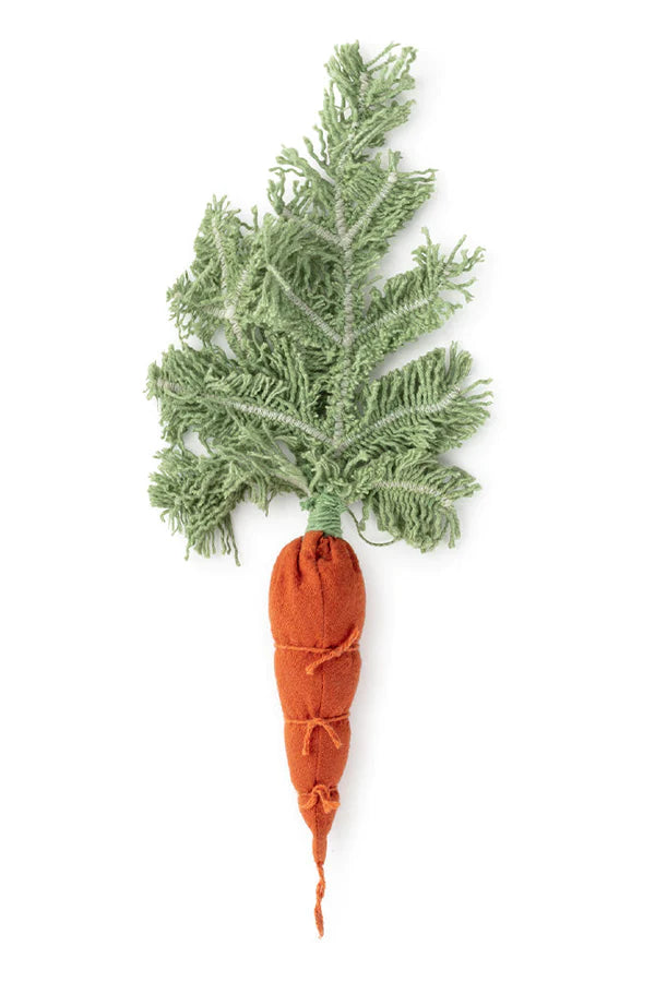 DIY CATHY THE CARROT Little Wonder & Co
