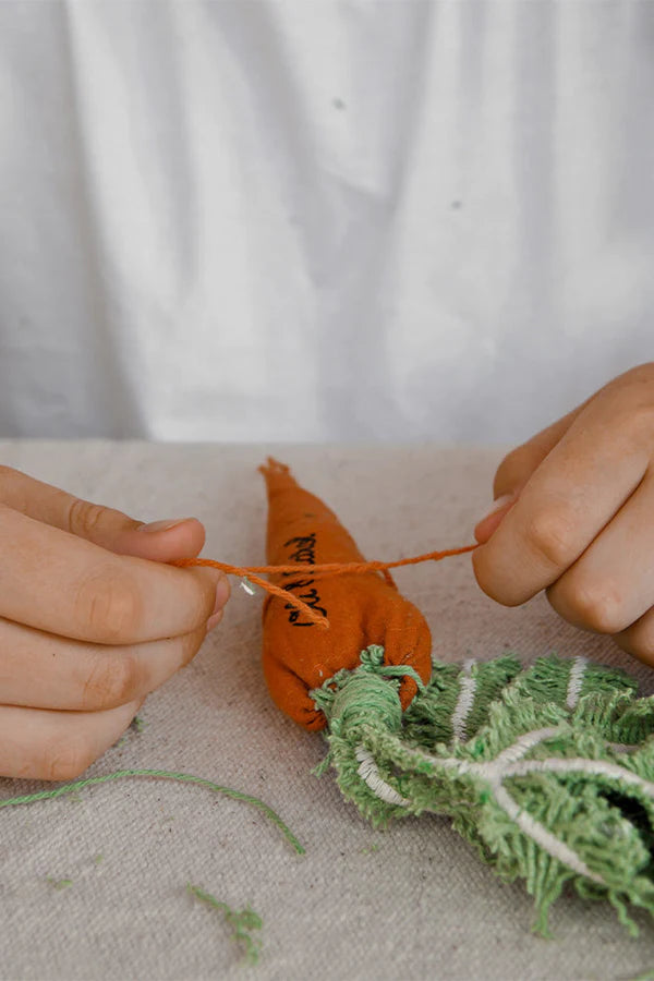 DIY CATHY THE CARROT Little Wonder & Co