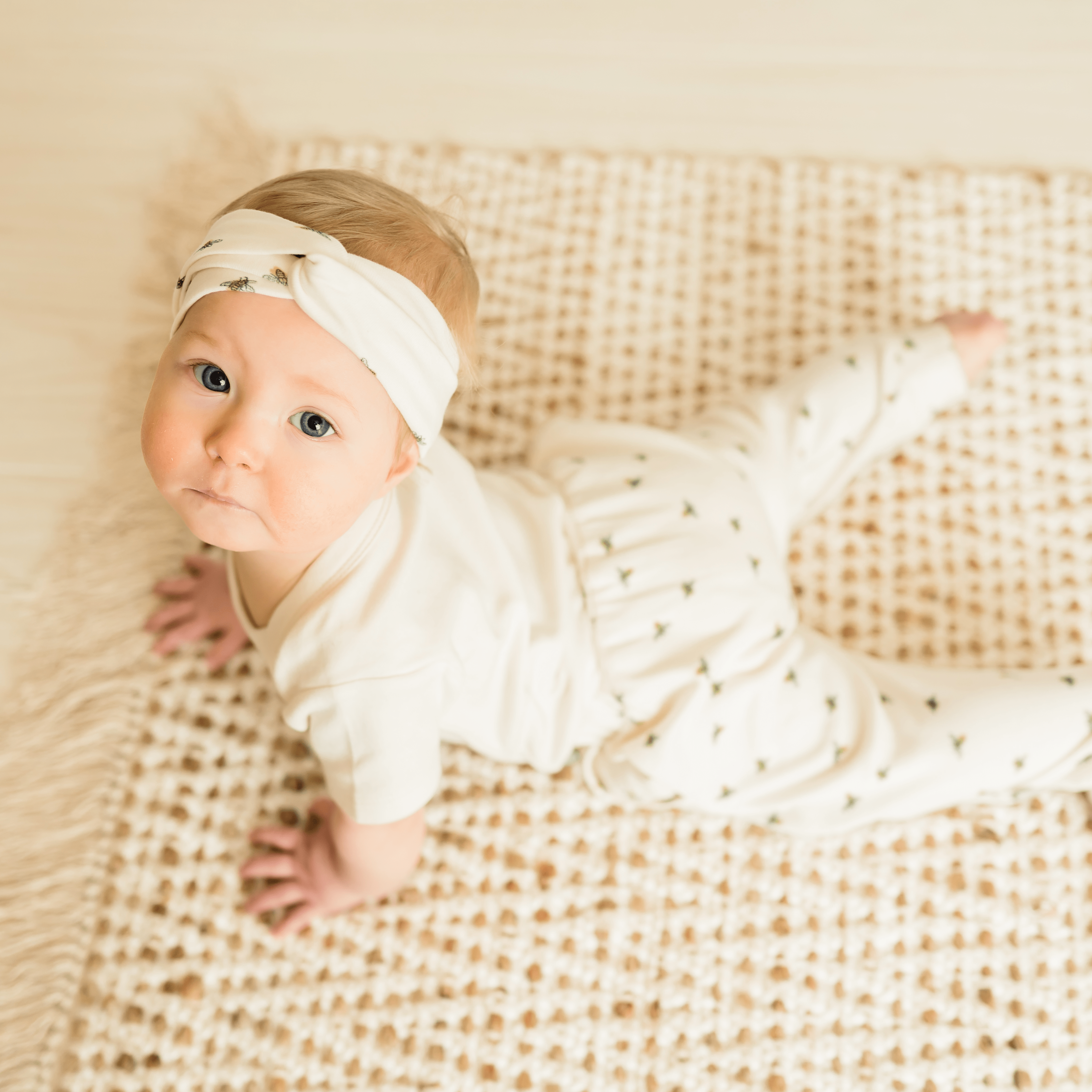 lounge pants | busy bees
