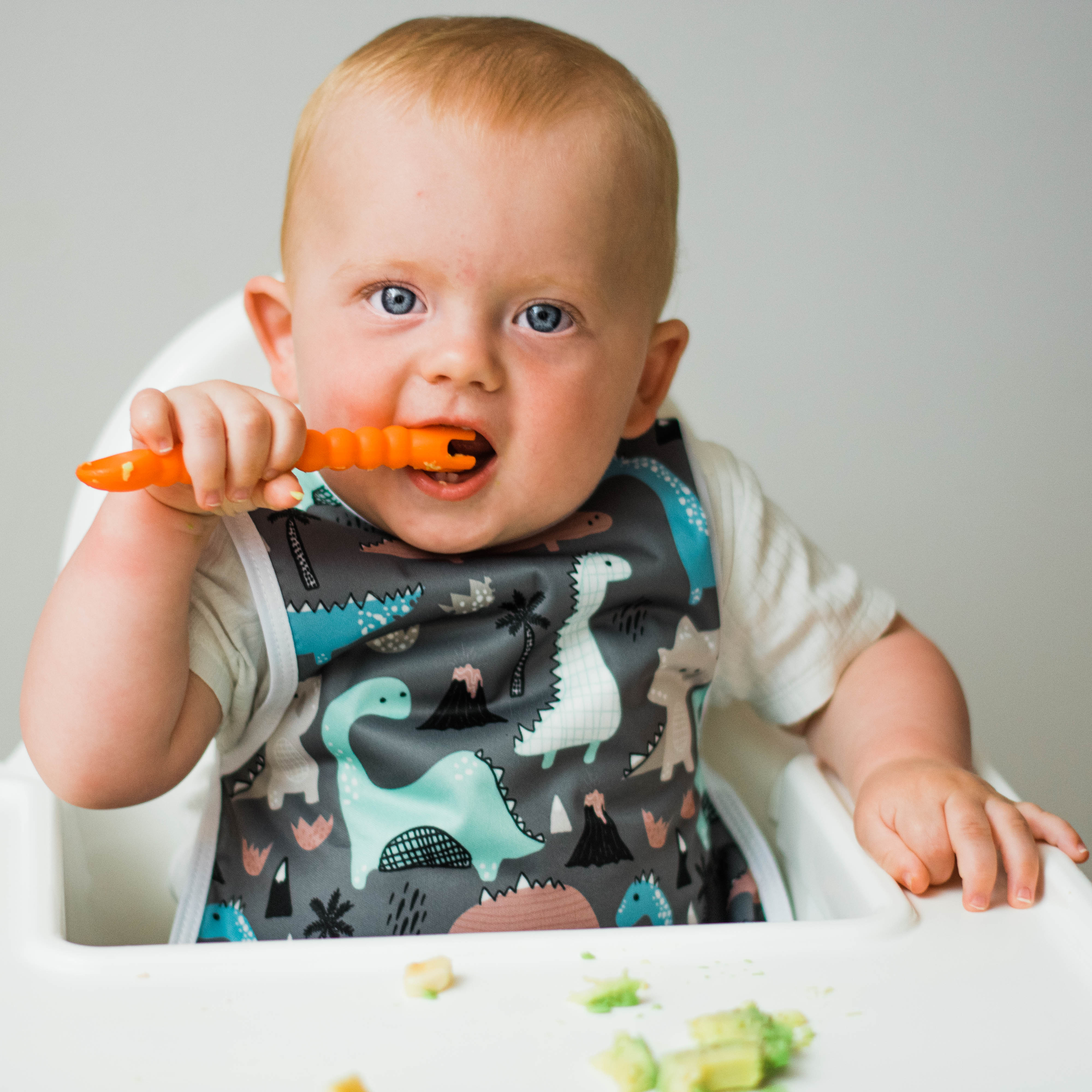 Dinosaur Drawing Bapron