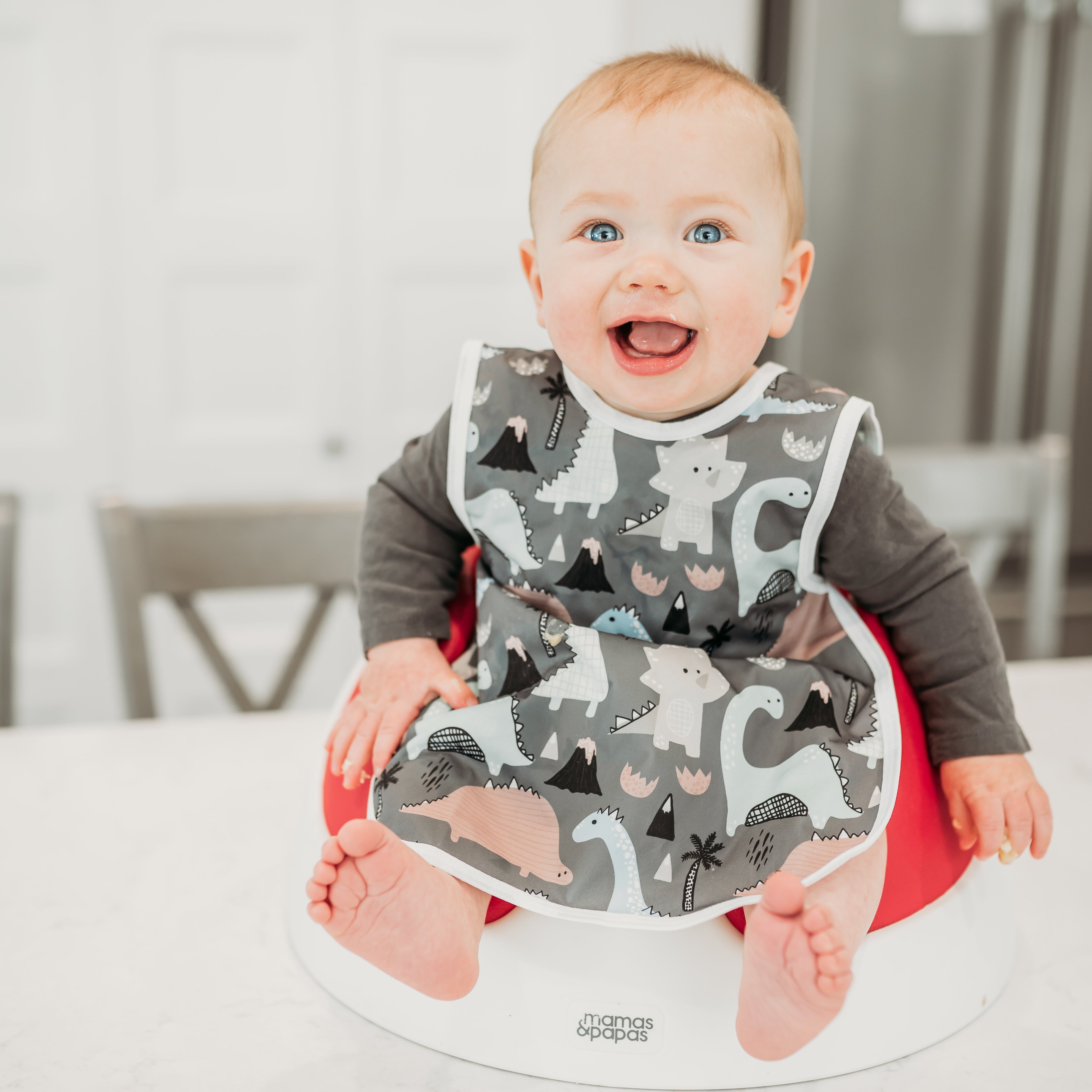 Dinosaur Drawing Bapron BapronBaby