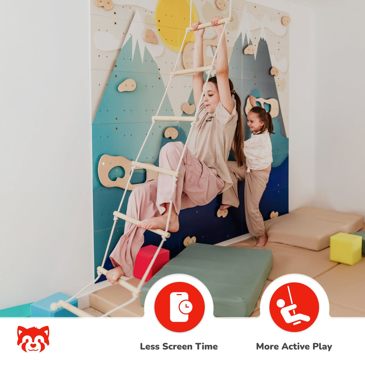 Ceiling Mounted Climbing Ladder