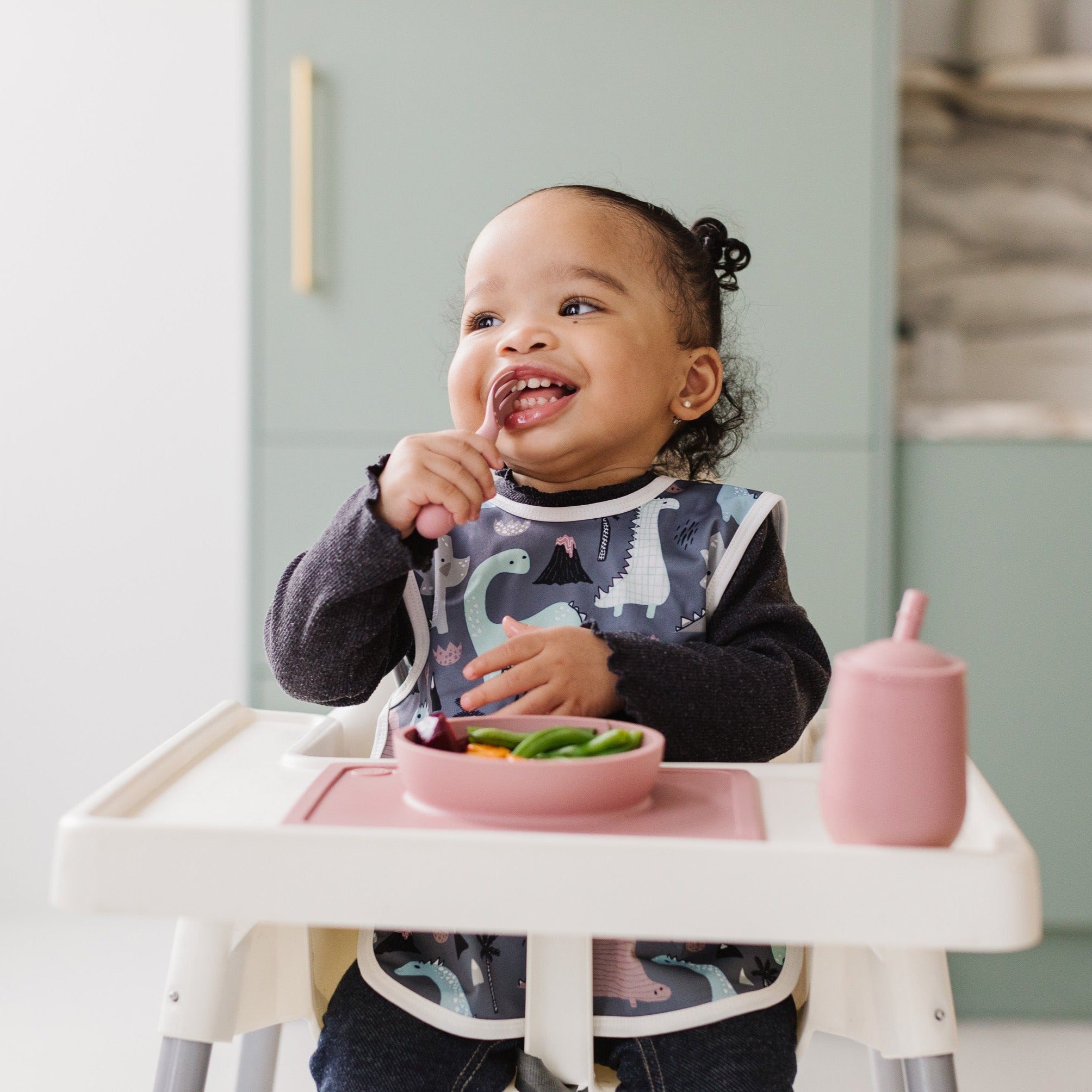 Dinosaur Drawing Bapron BapronBaby