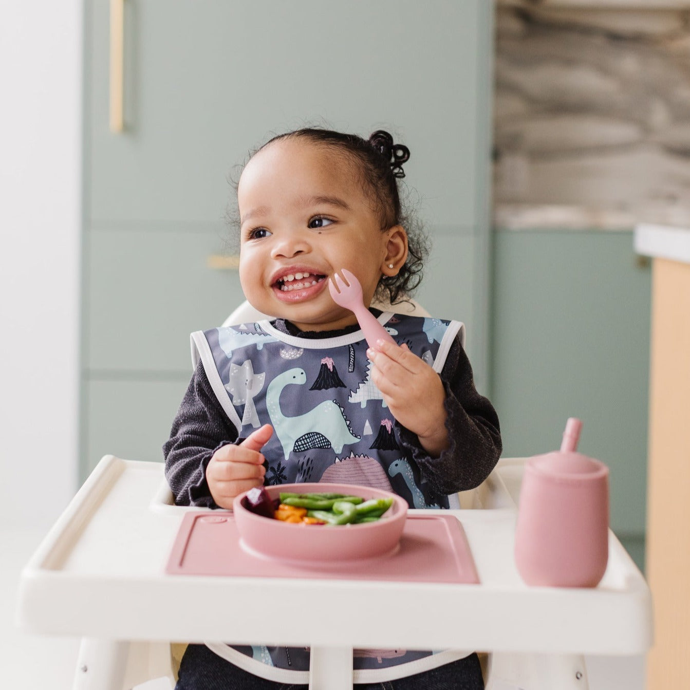 Dinosaur Drawing Bapron BapronBaby