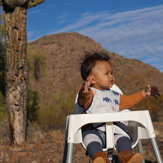 Desert Dinos Bapron BapronBaby
