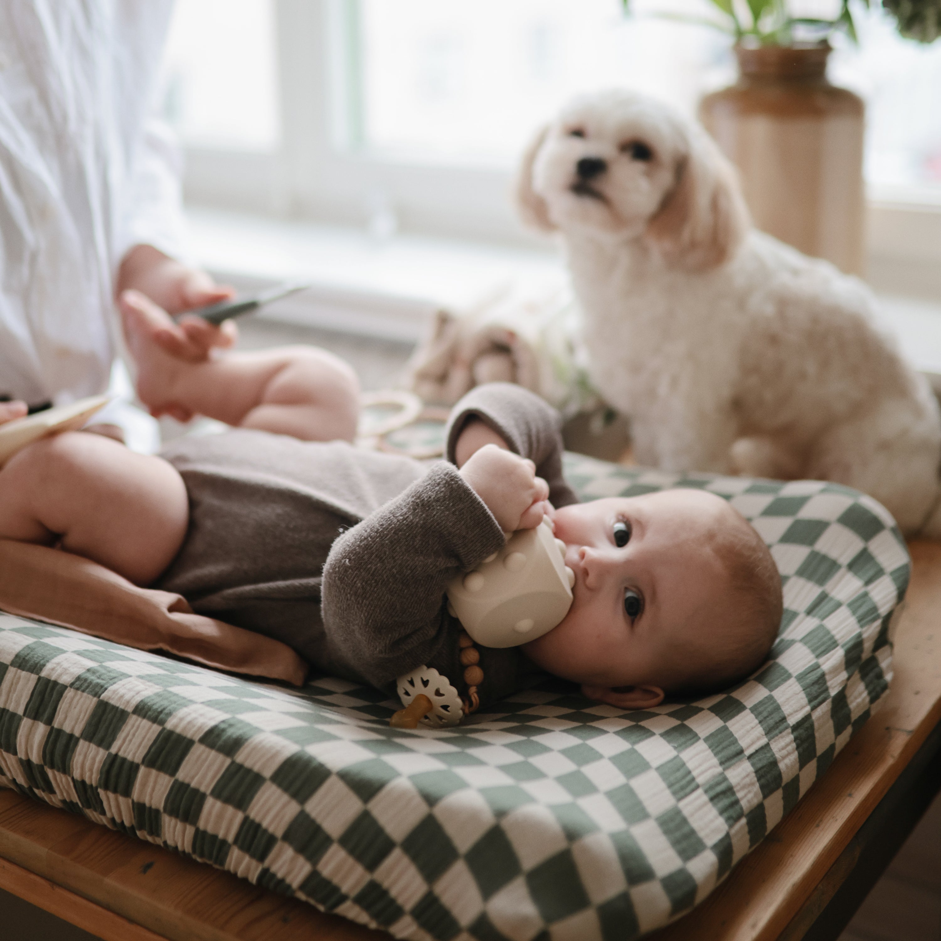 Dice Press Toy 2-Pack Press Toy Mushie