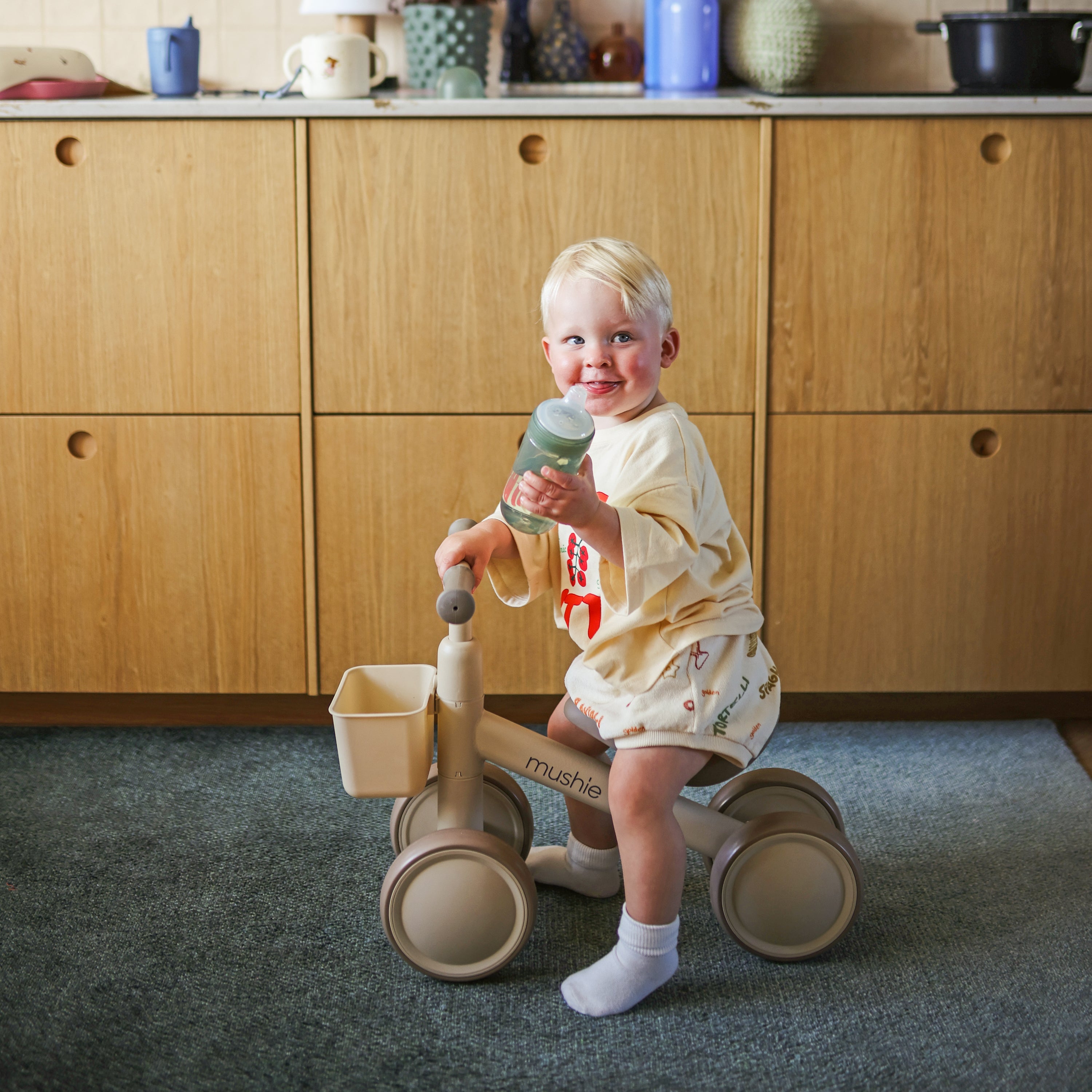 Mini Toddler Bike