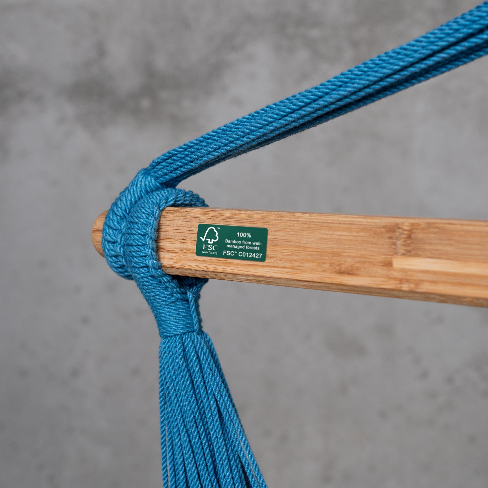 Habana Blue Zebra - Organic Cotton Kingsize Hammock Chair