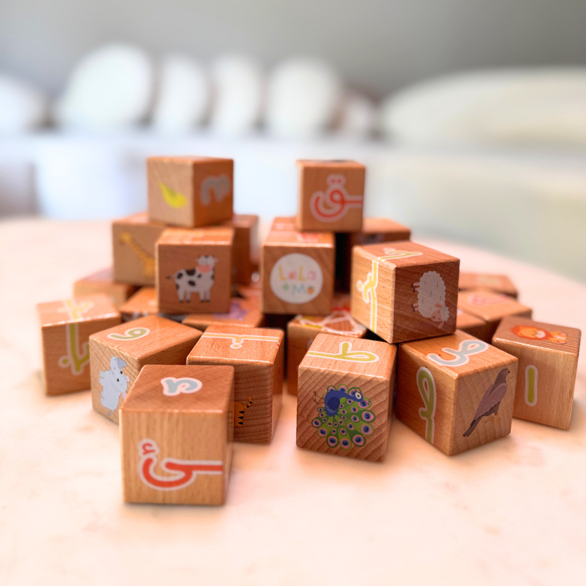 My First ARABIC ALPHABET Blocks with Dry Erase Activity Cards