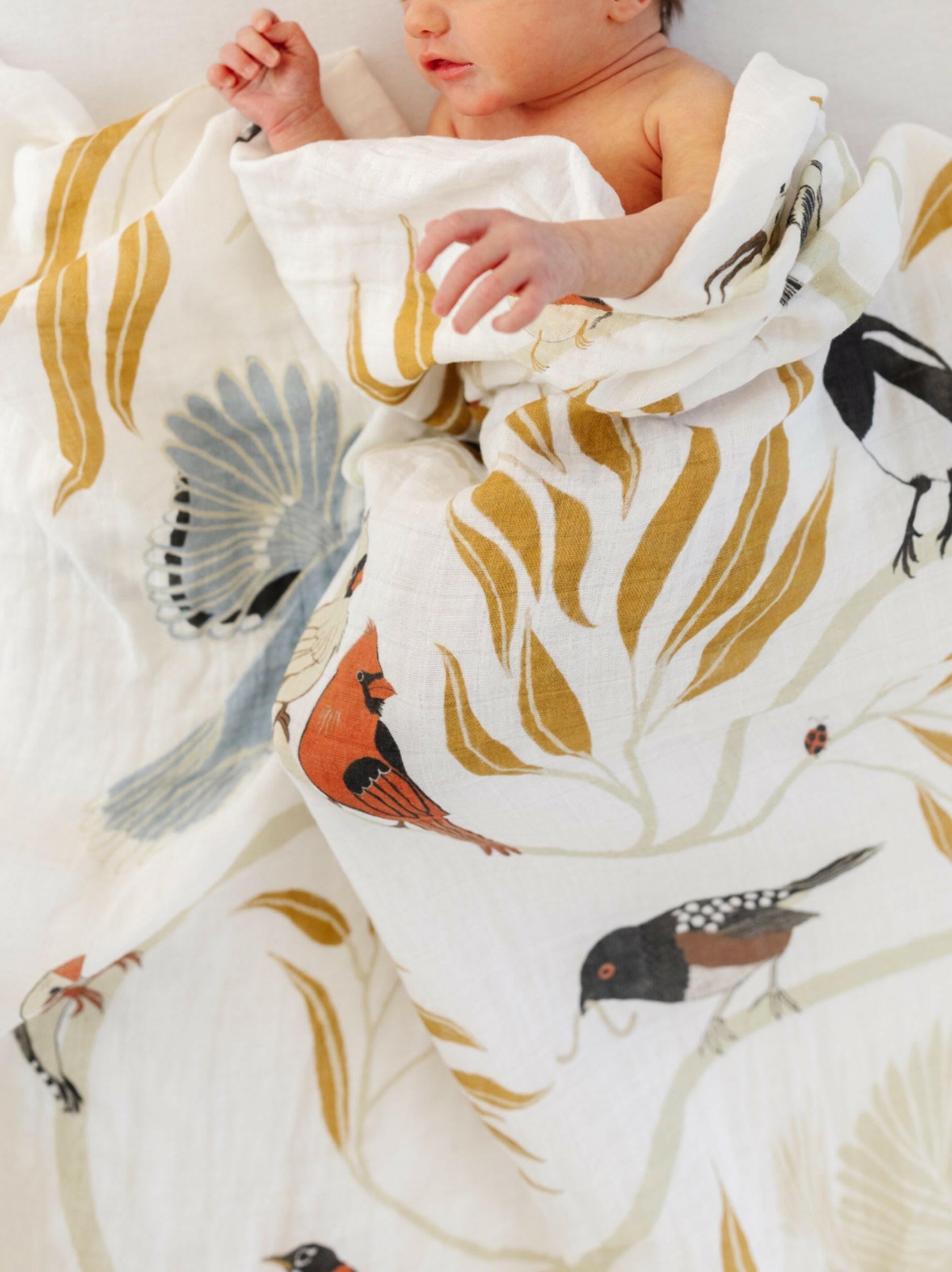 For the Birds Swaddle Swaddles Clementine Kids