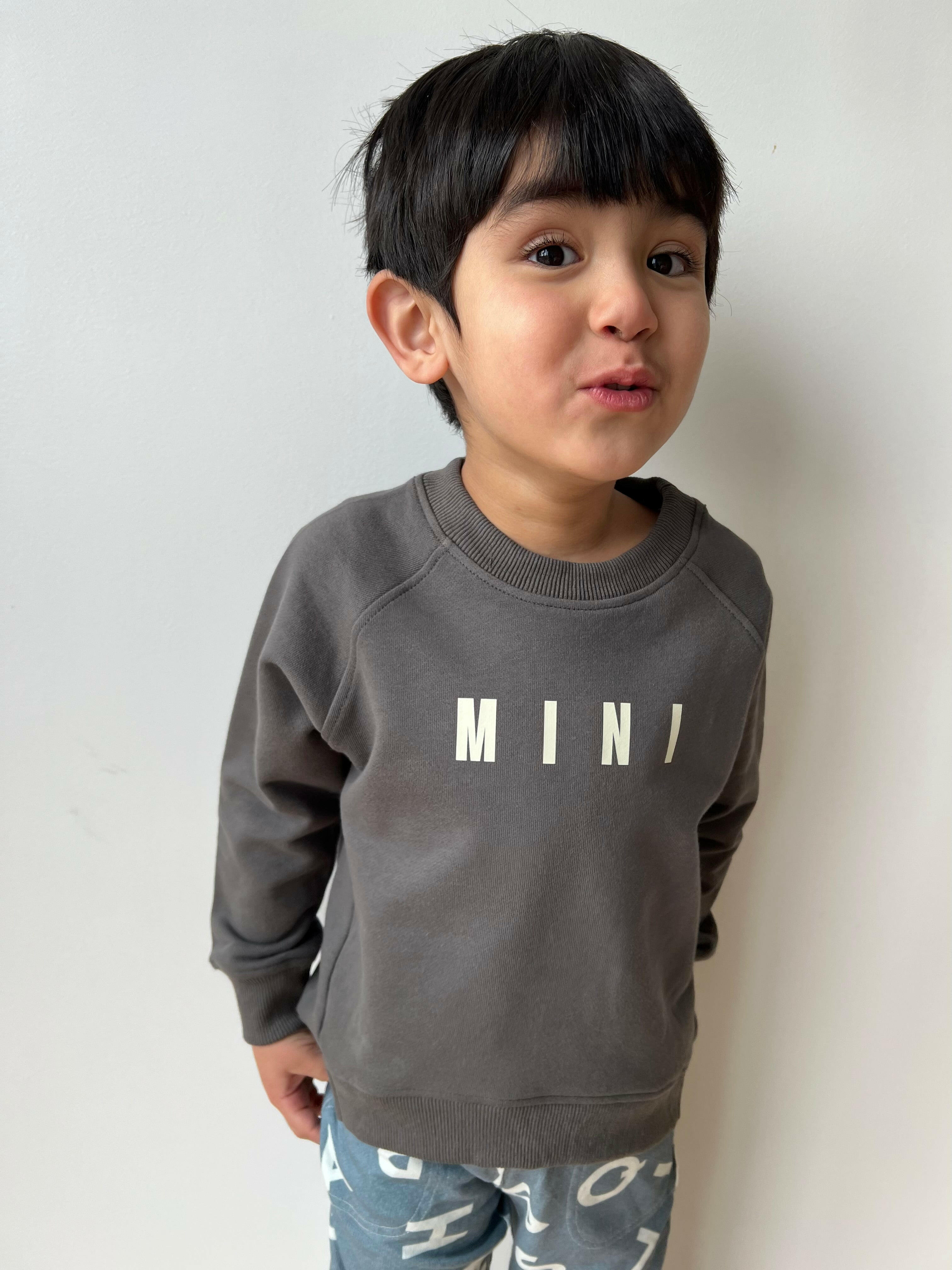 MINI Sweatshirt Dark Gray Baby & Toddler Tops The picnic day