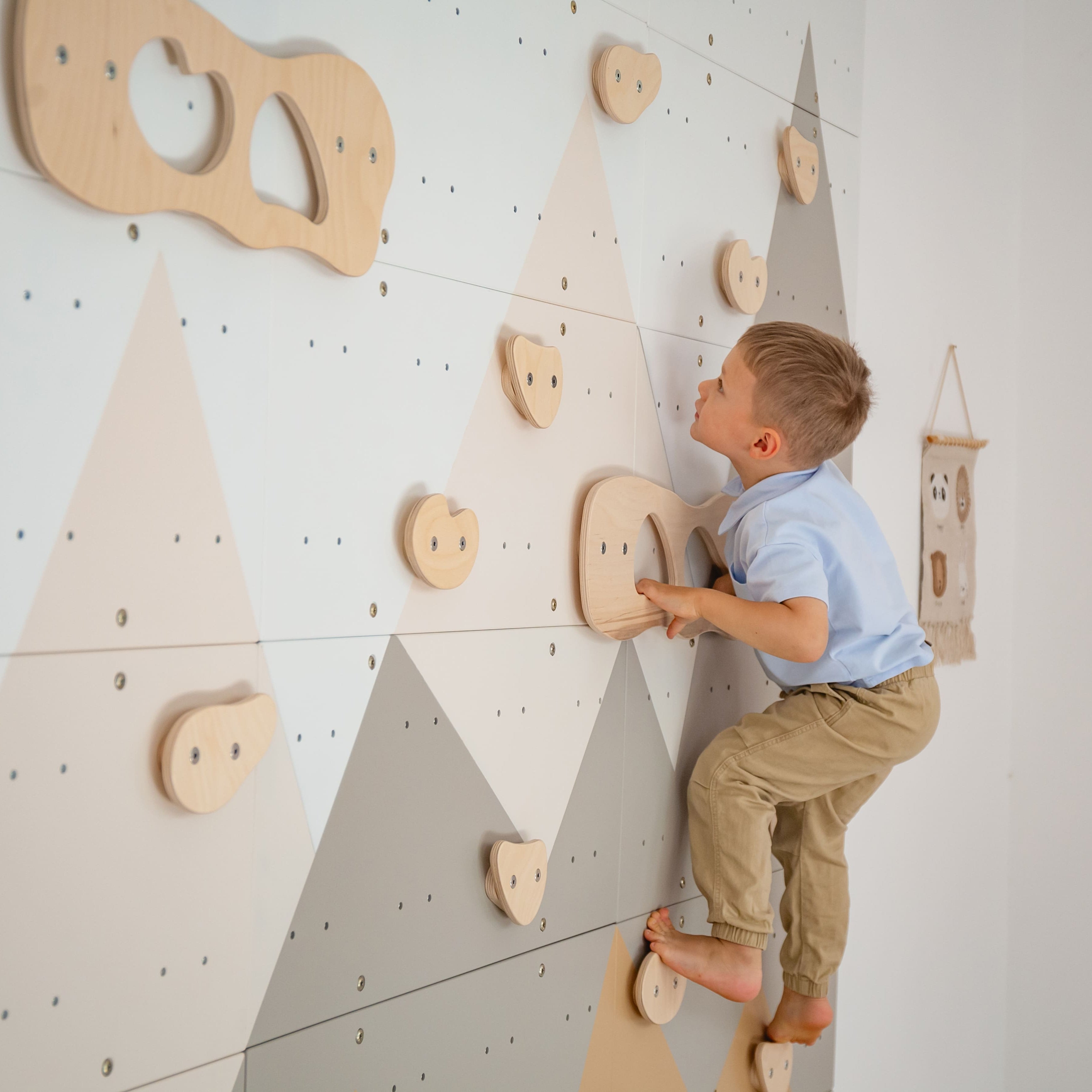Indoor Climbing Wall
