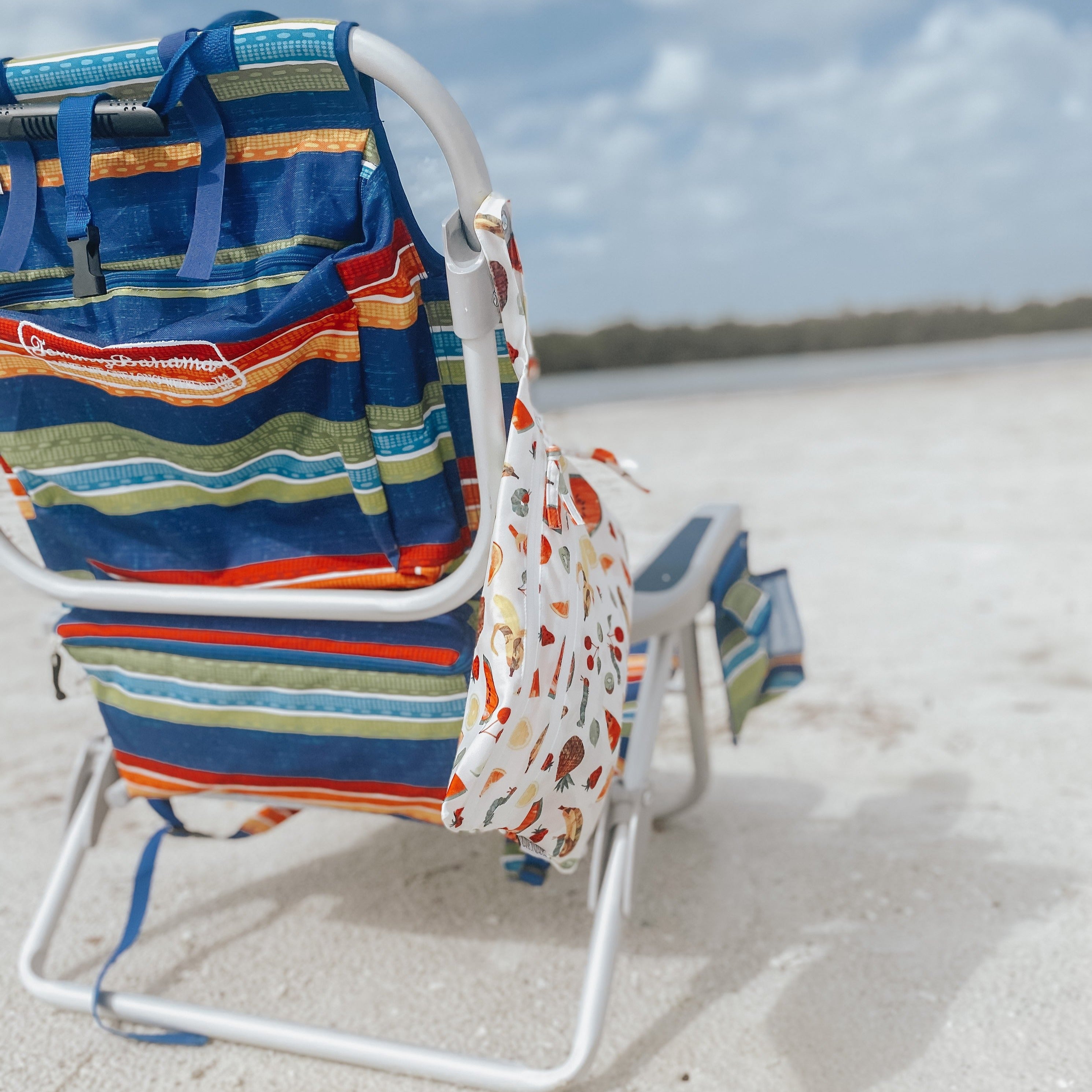 Tropical Fruit - Waterproof Wet Bag (For mealtime, on-the-go, and more!) - from the World Of Eric Carle SALE BapronBaby