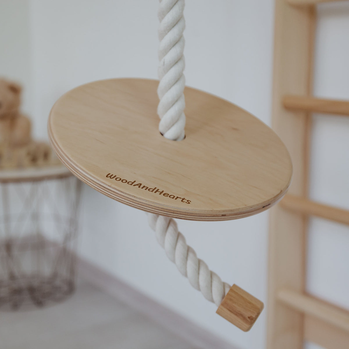 Disc Rope Swing