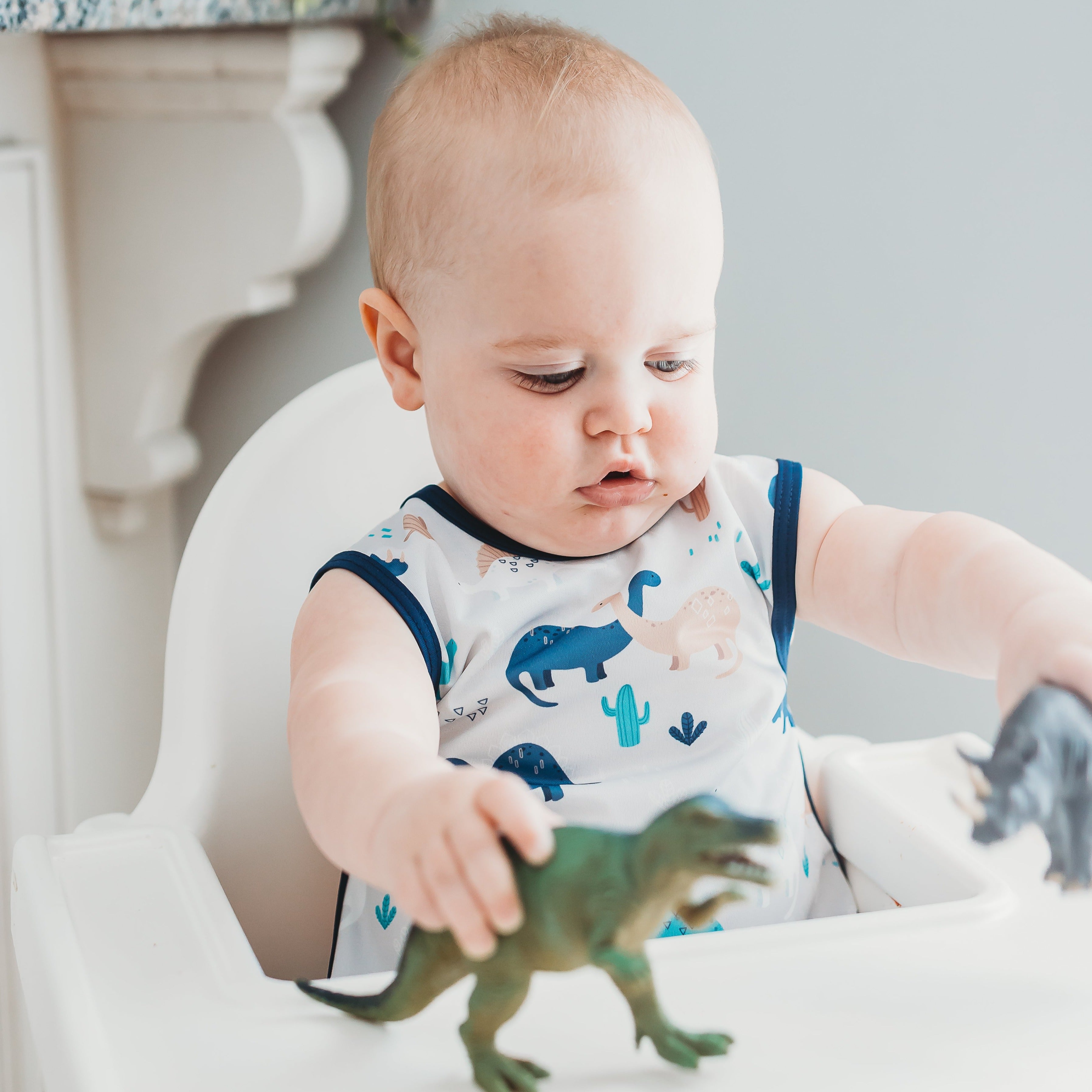 Desert Dinos Bapron BapronBaby