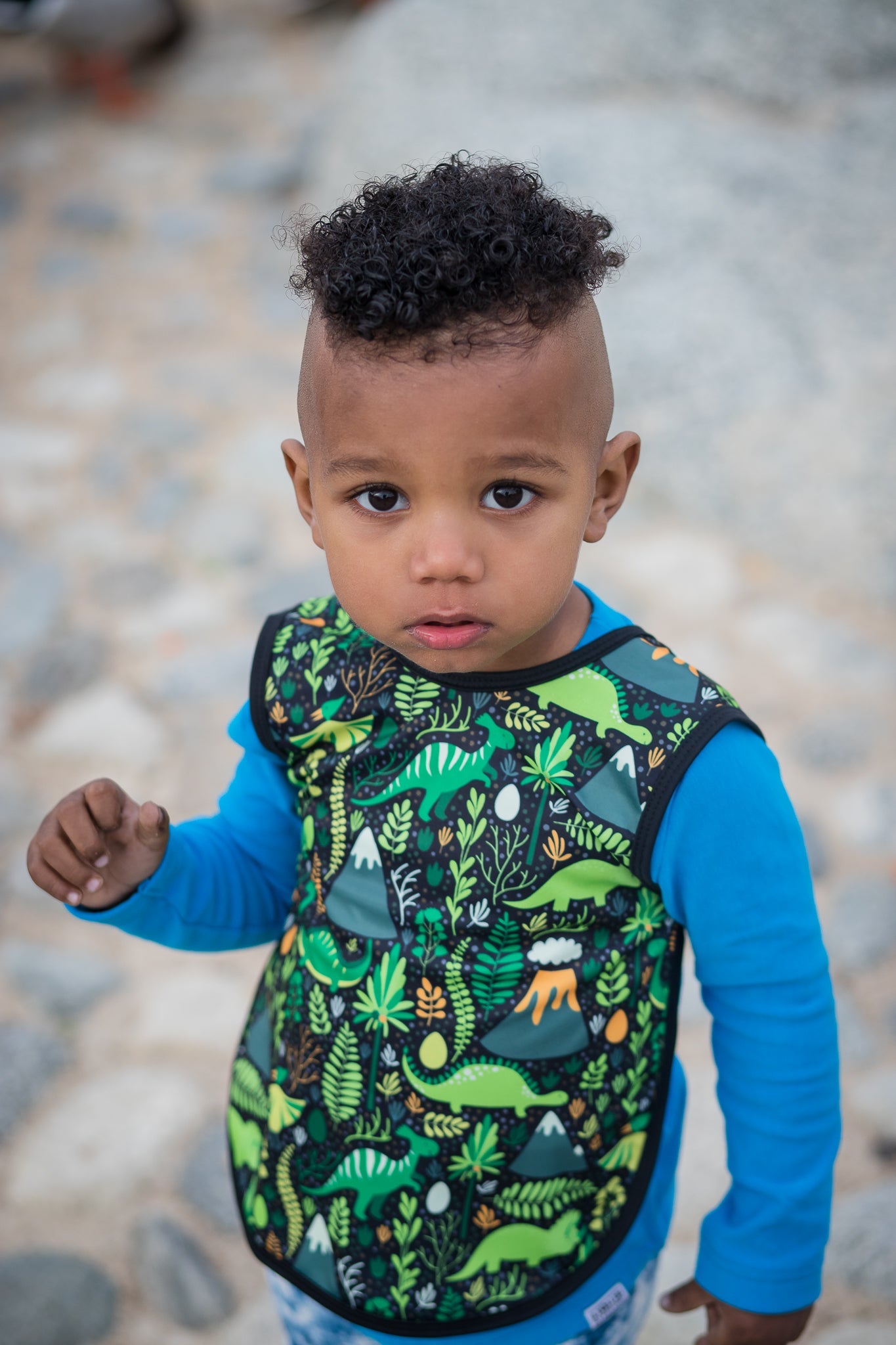 Dino Days Bapron BapronBaby