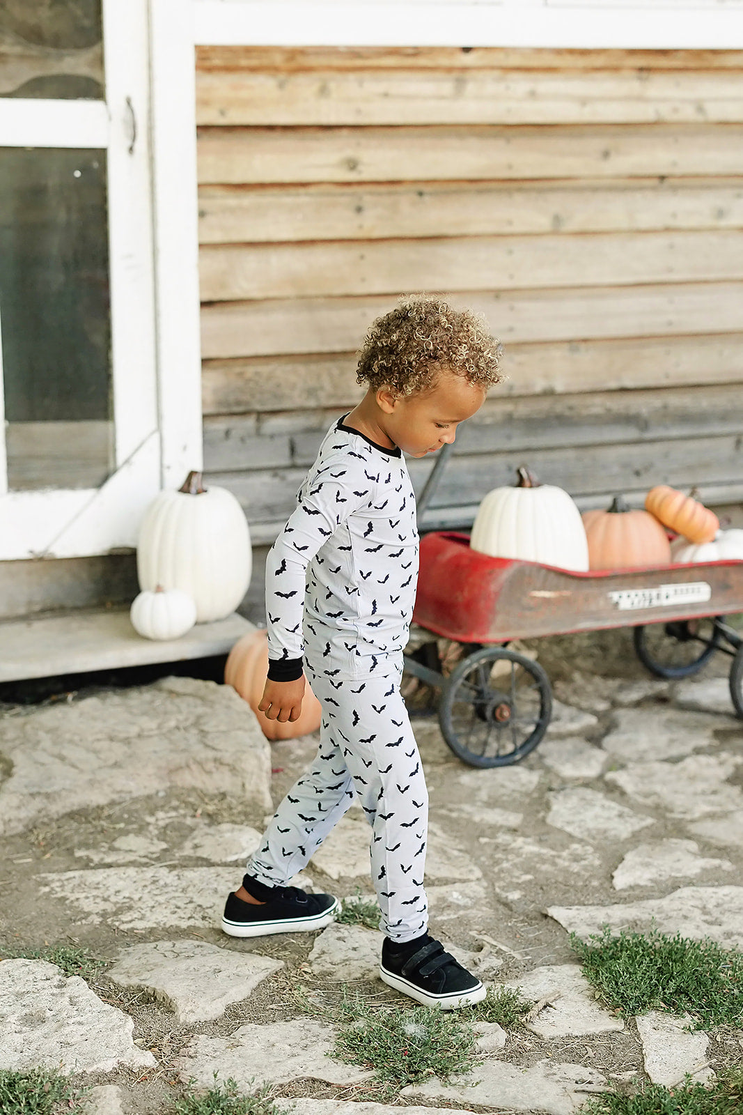 Bats Bamboo Cozy Set Mebie Baby