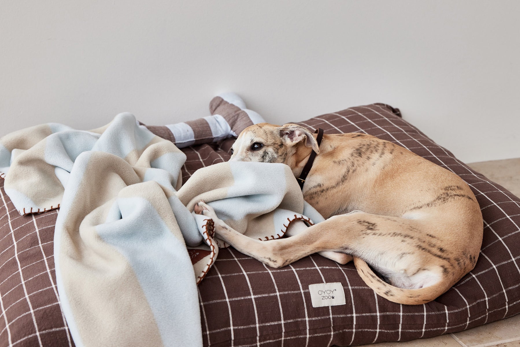 Kaya Dog Blanket - Medium