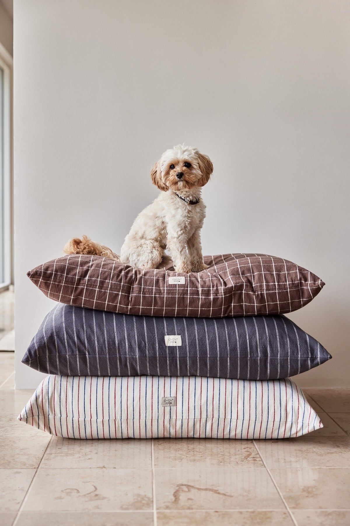 Kyoto Dog Cushion - Choko
