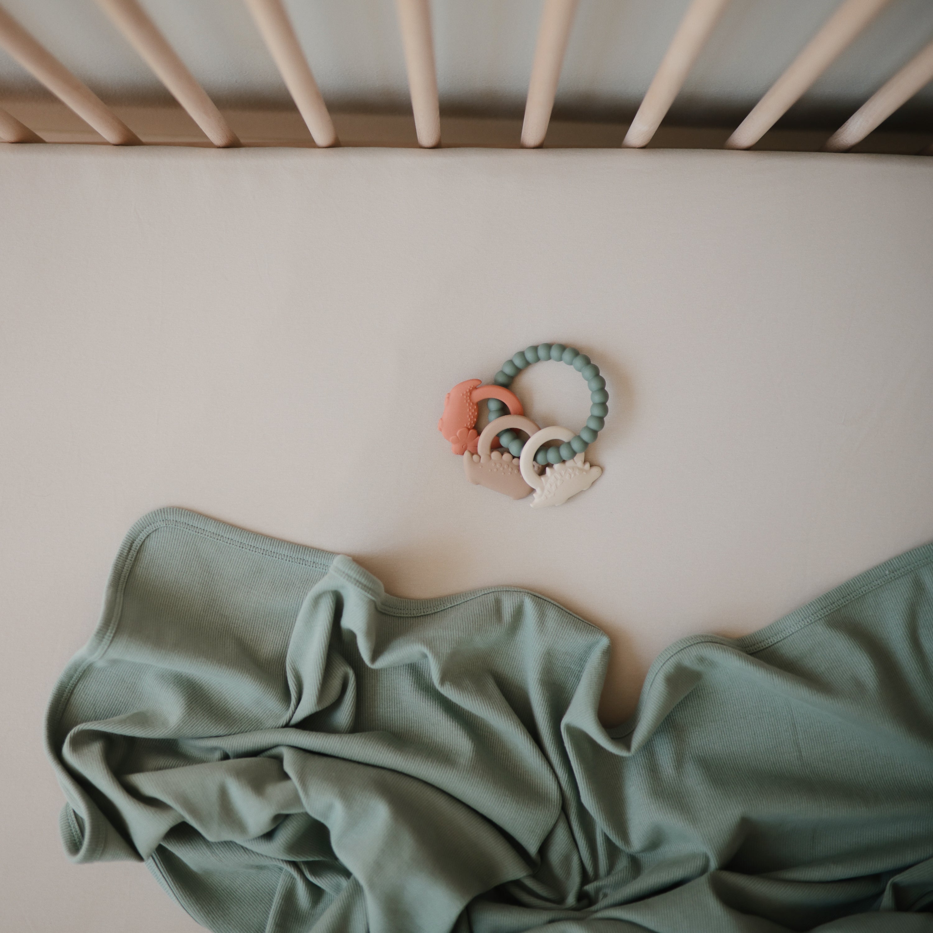 Dino Teething Ring teether Mushie