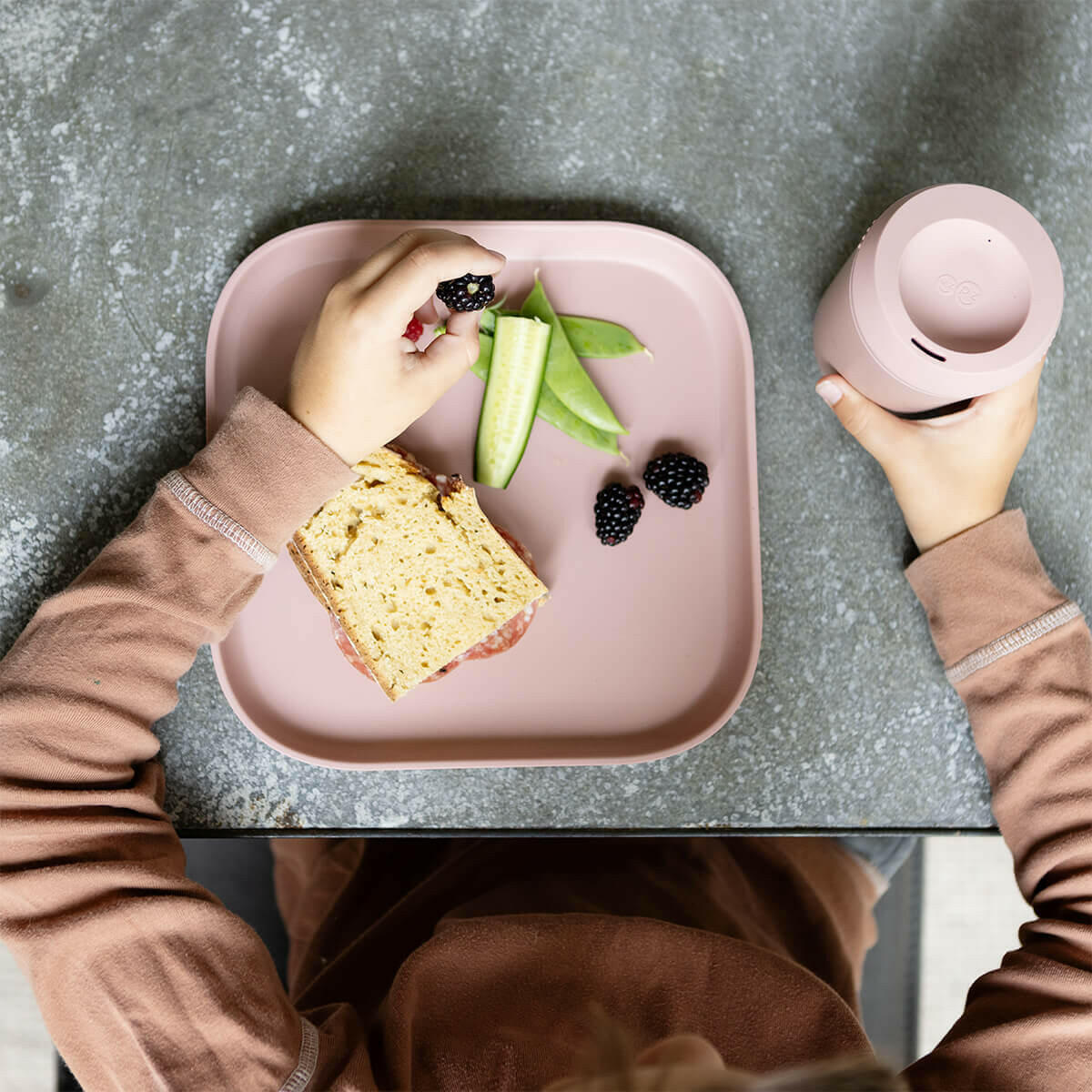 Mealtime Plate (2-Pack) Retail ezpz