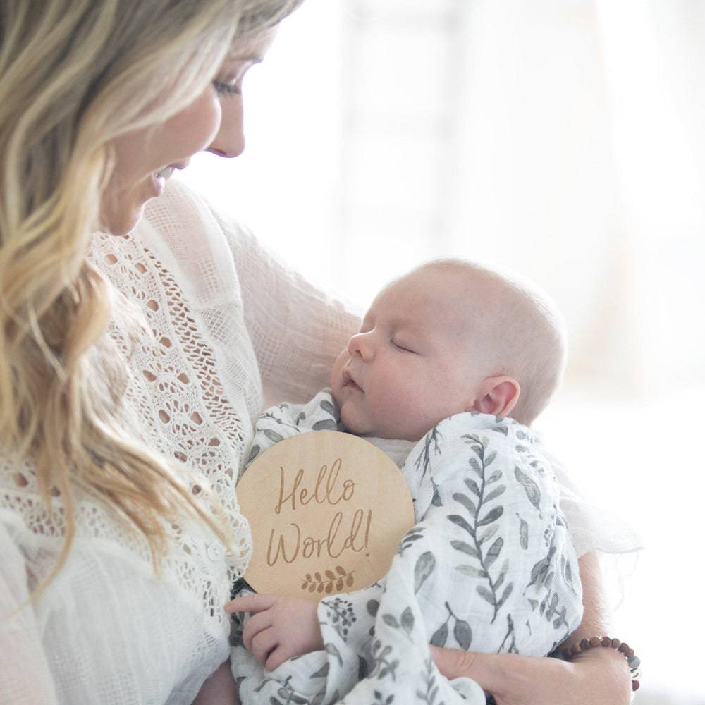 Hello World Milestone Moments Disc Milestone Moments Bebe au Lait