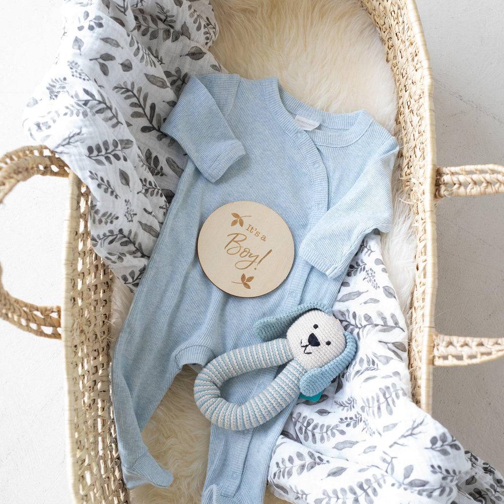 It's A Boy Milestone Moments Disc Milestone Moments Bebe au Lait