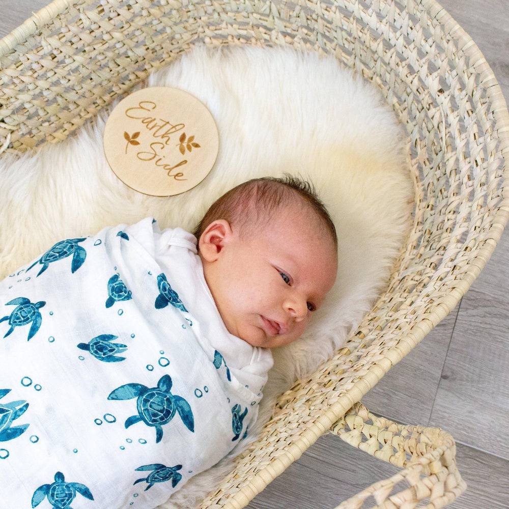 Earth Side Milestone Moments Disc Milestone Moments Bebe au Lait