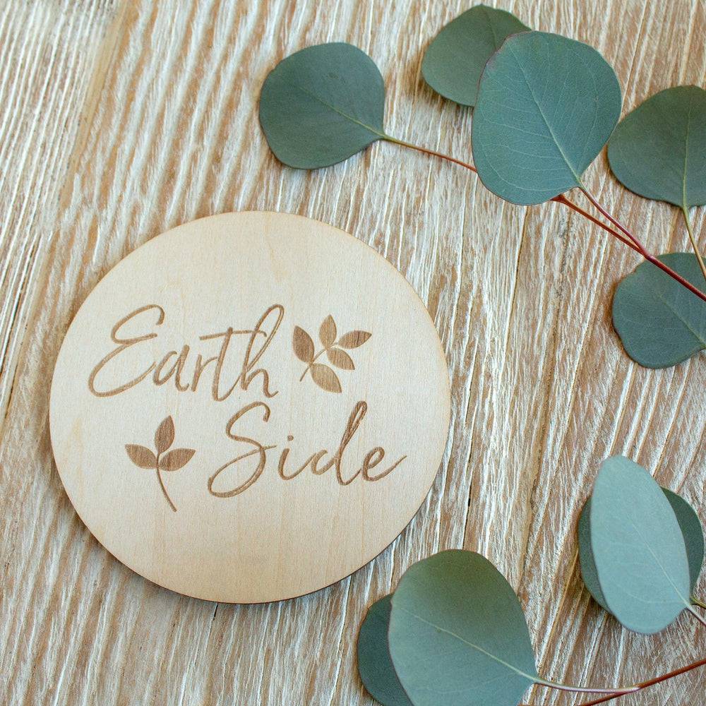 Earth Side Milestone Moments Disc Milestone Moments Bebe au Lait
