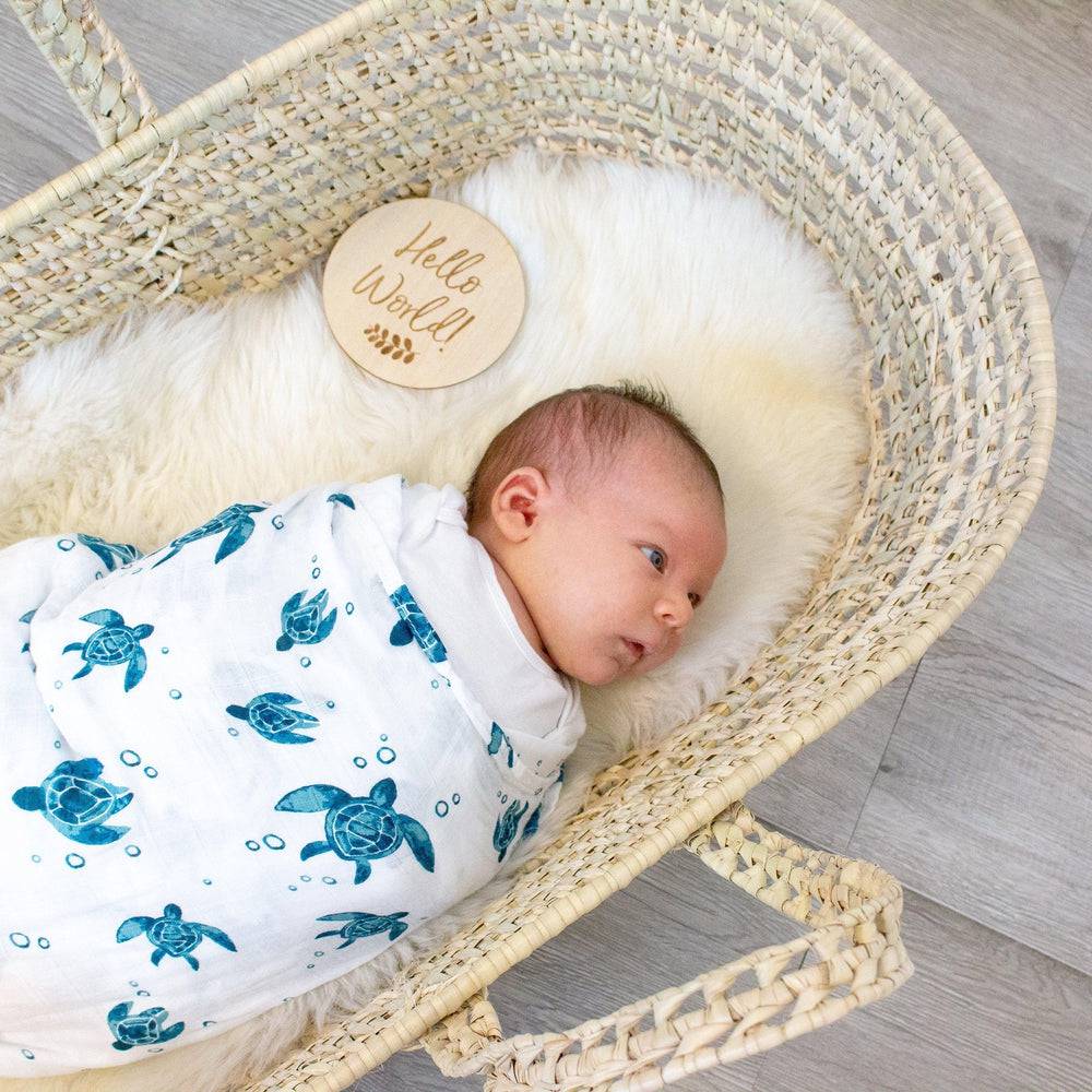 Hello World Milestone Moments Disc Milestone Moments Bebe au Lait