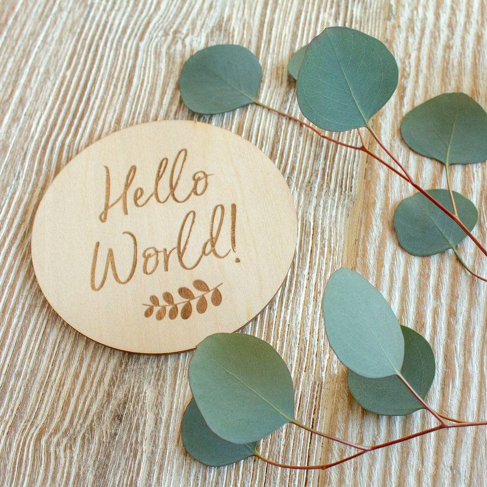 Hello World Milestone Moments Disc Milestone Moments Bebe au Lait