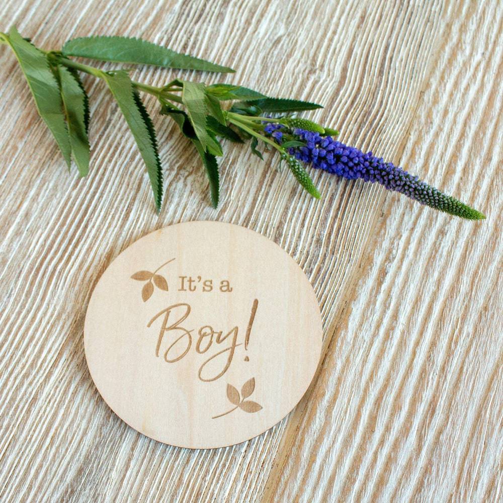 It's A Boy Milestone Moments Disc Milestone Moments Bebe au Lait
