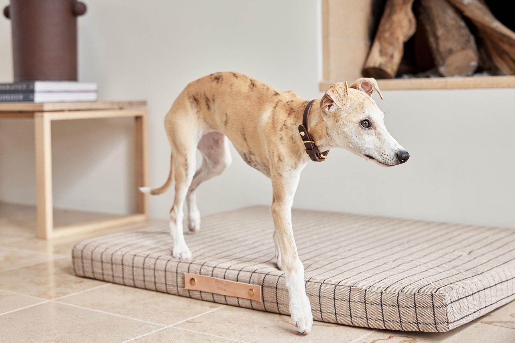 Milo Grid Dog Cushion