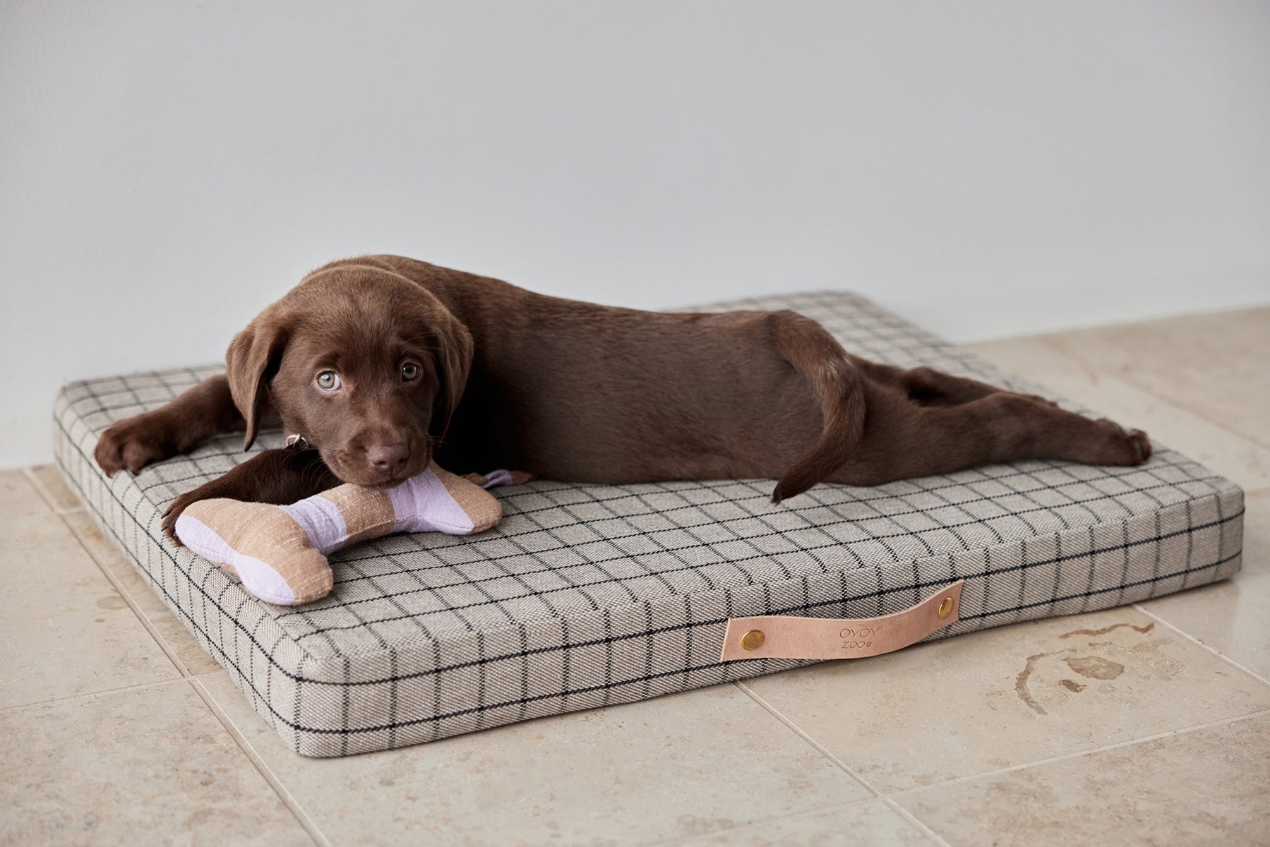 Milo Grid Dog Cushion