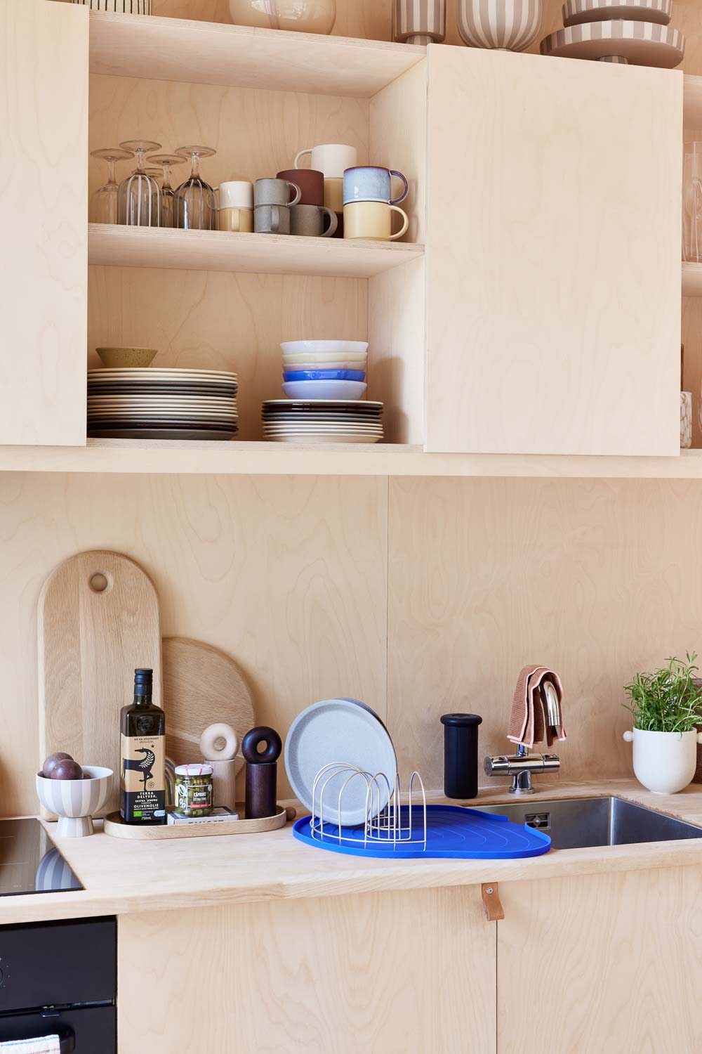 Mio Dish Tray in Optic Blue