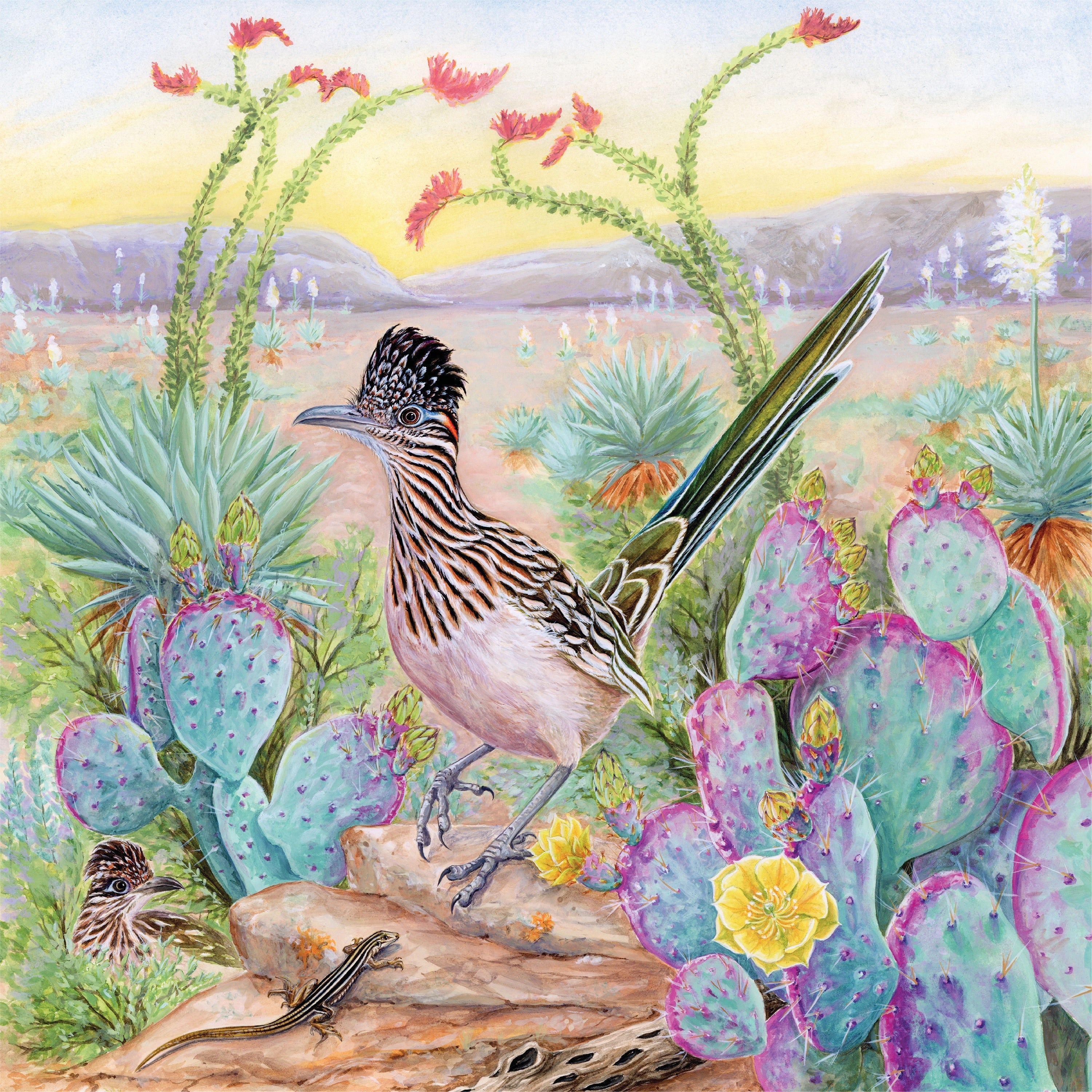 Greater Roadrunner