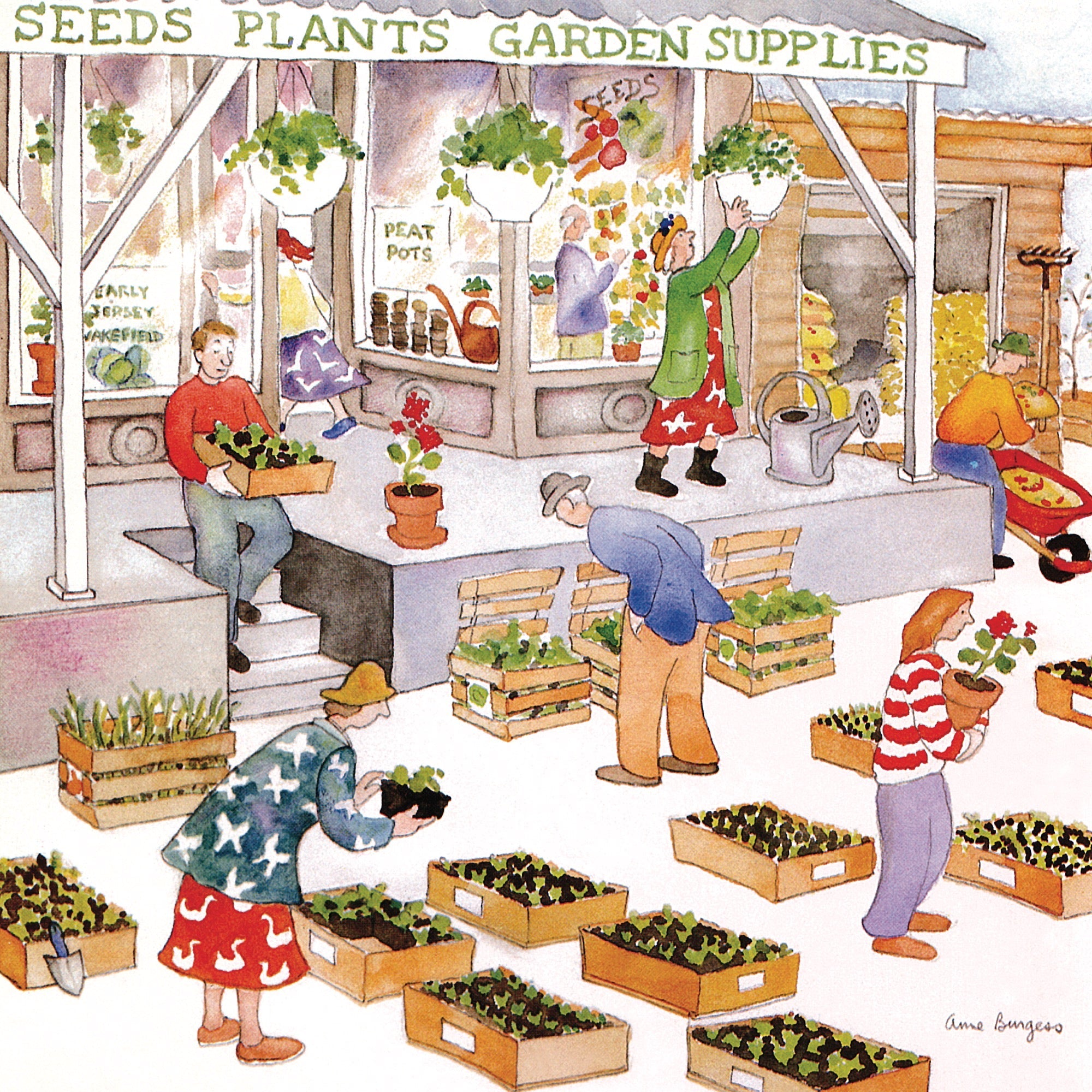 Garden Supplies