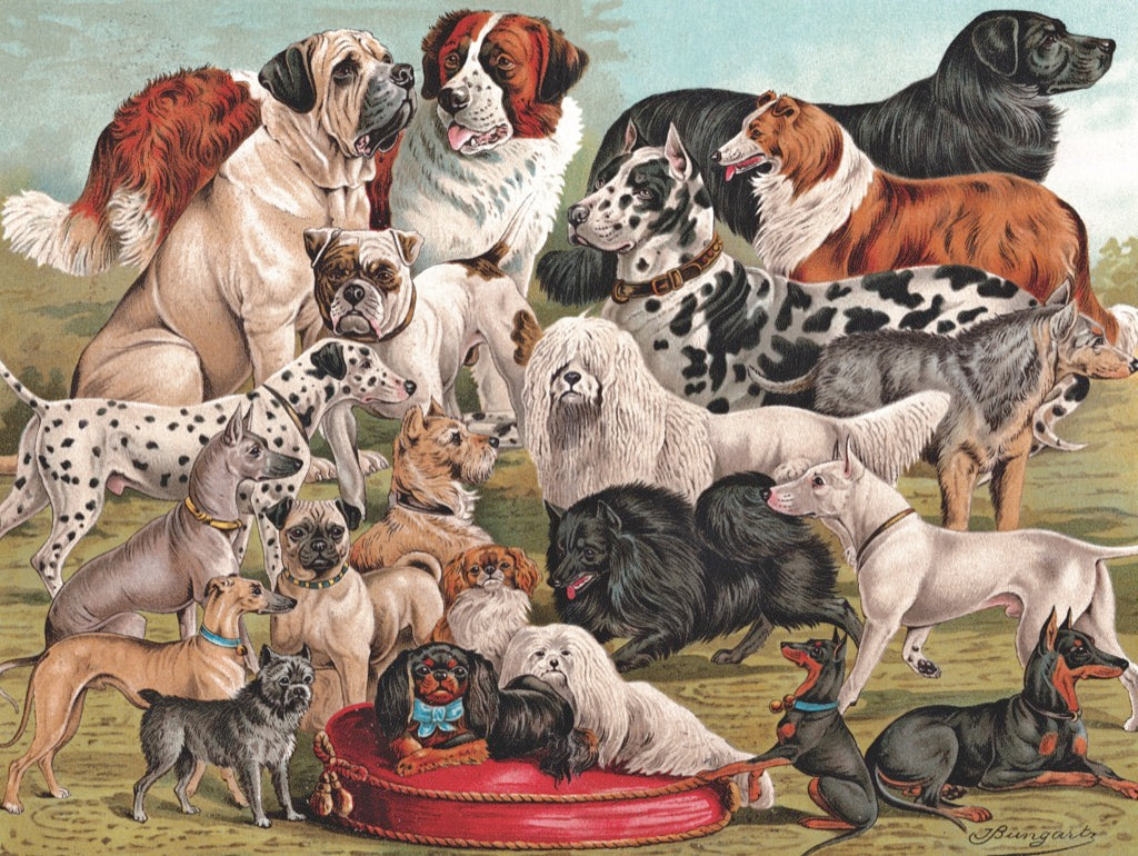 Dog Breeds