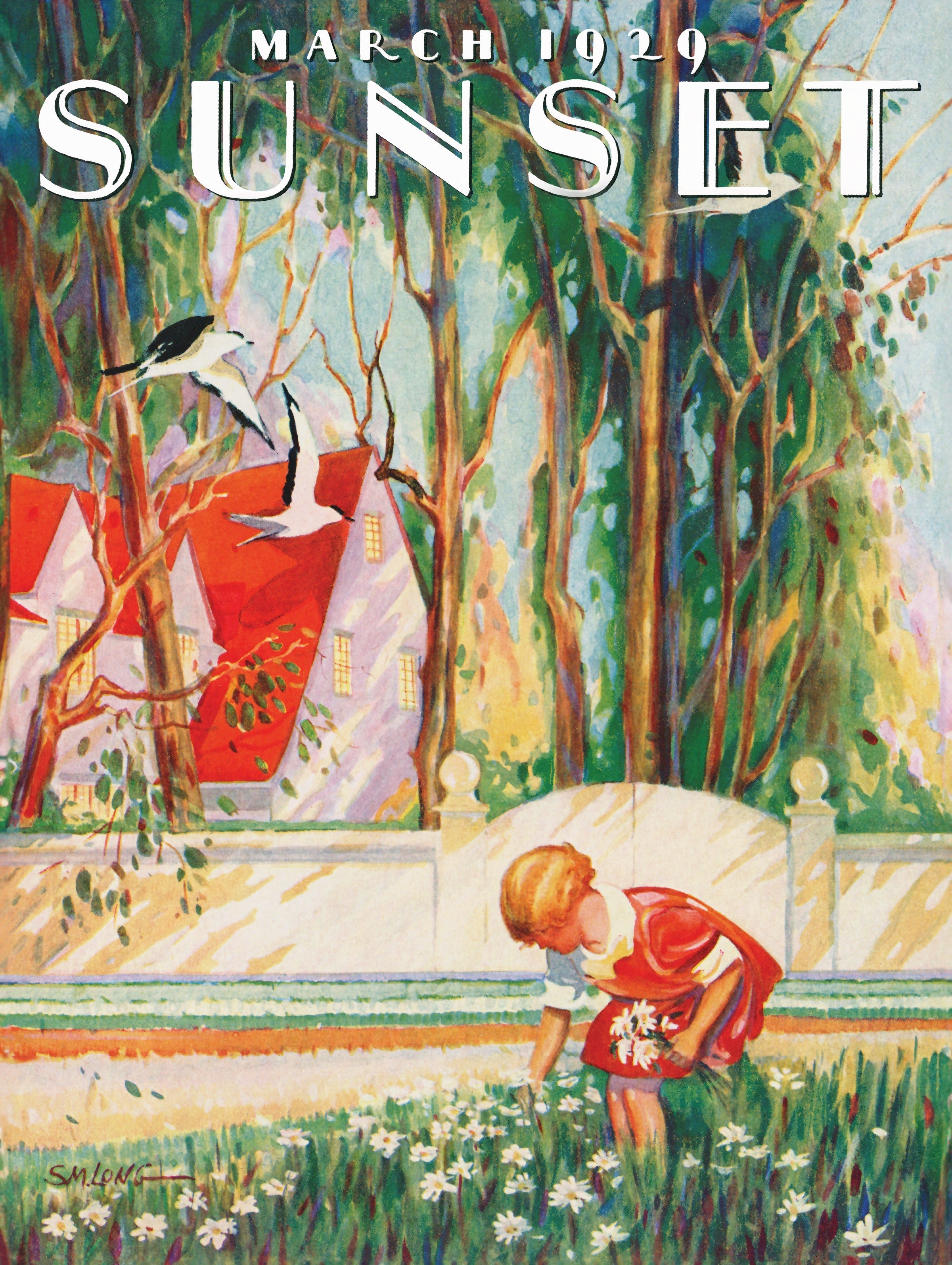 Picking Daisies