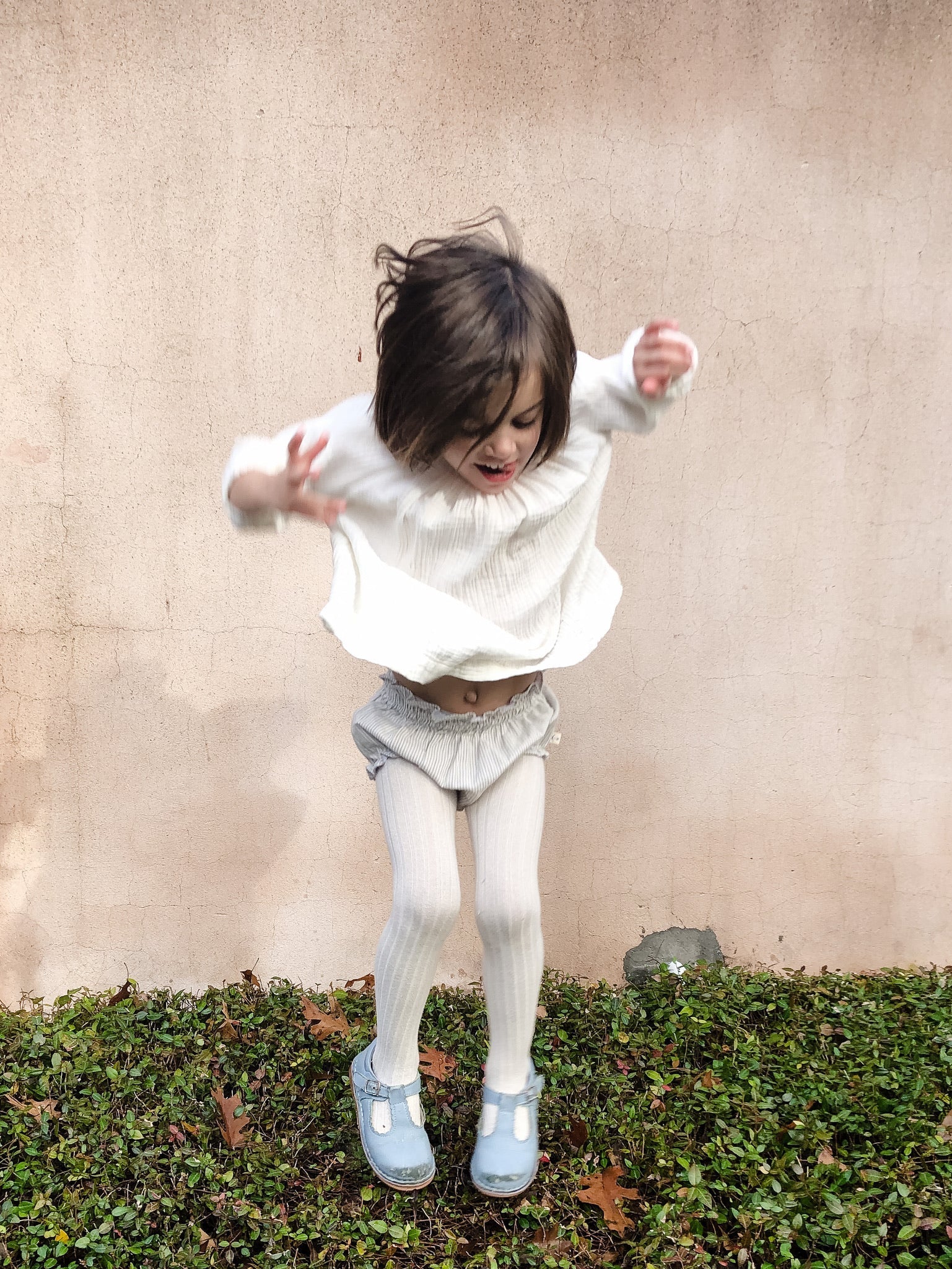 Bloomies - Gray Stripe