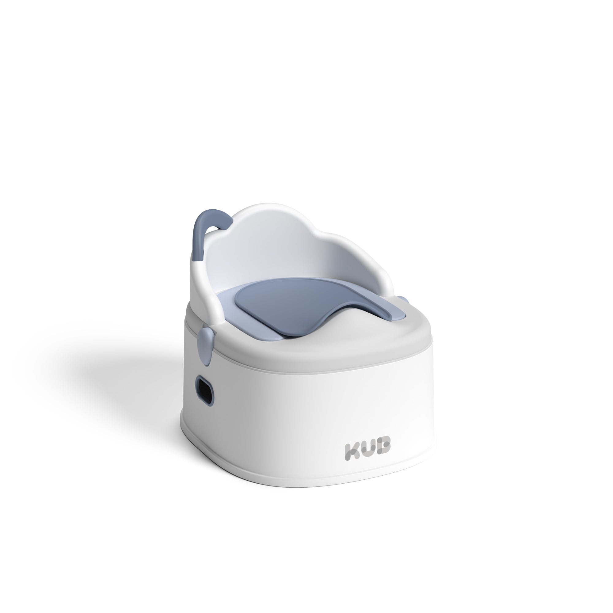Potty Training Toilet