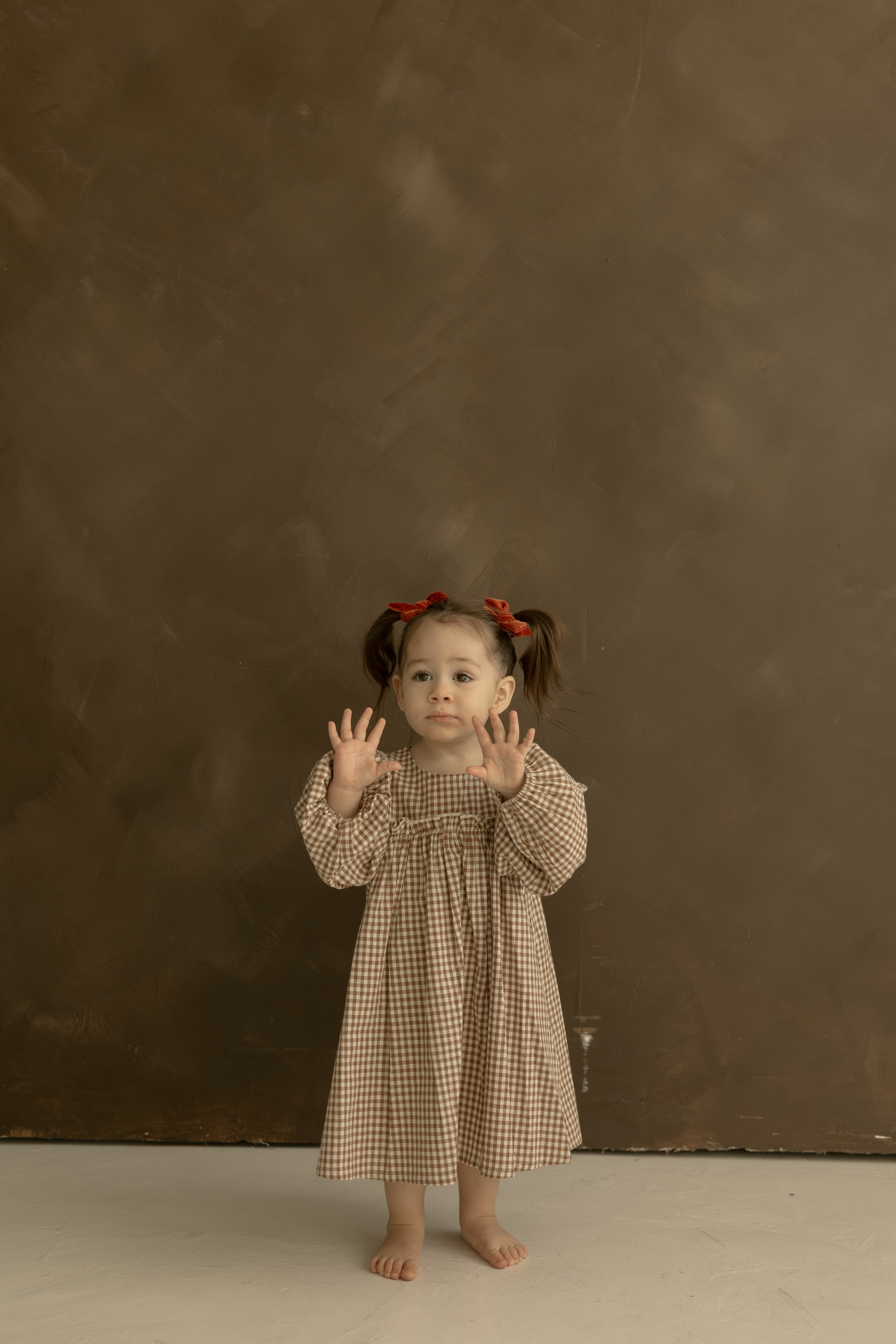 Child Long Sleeve Dress | Honey Gingham