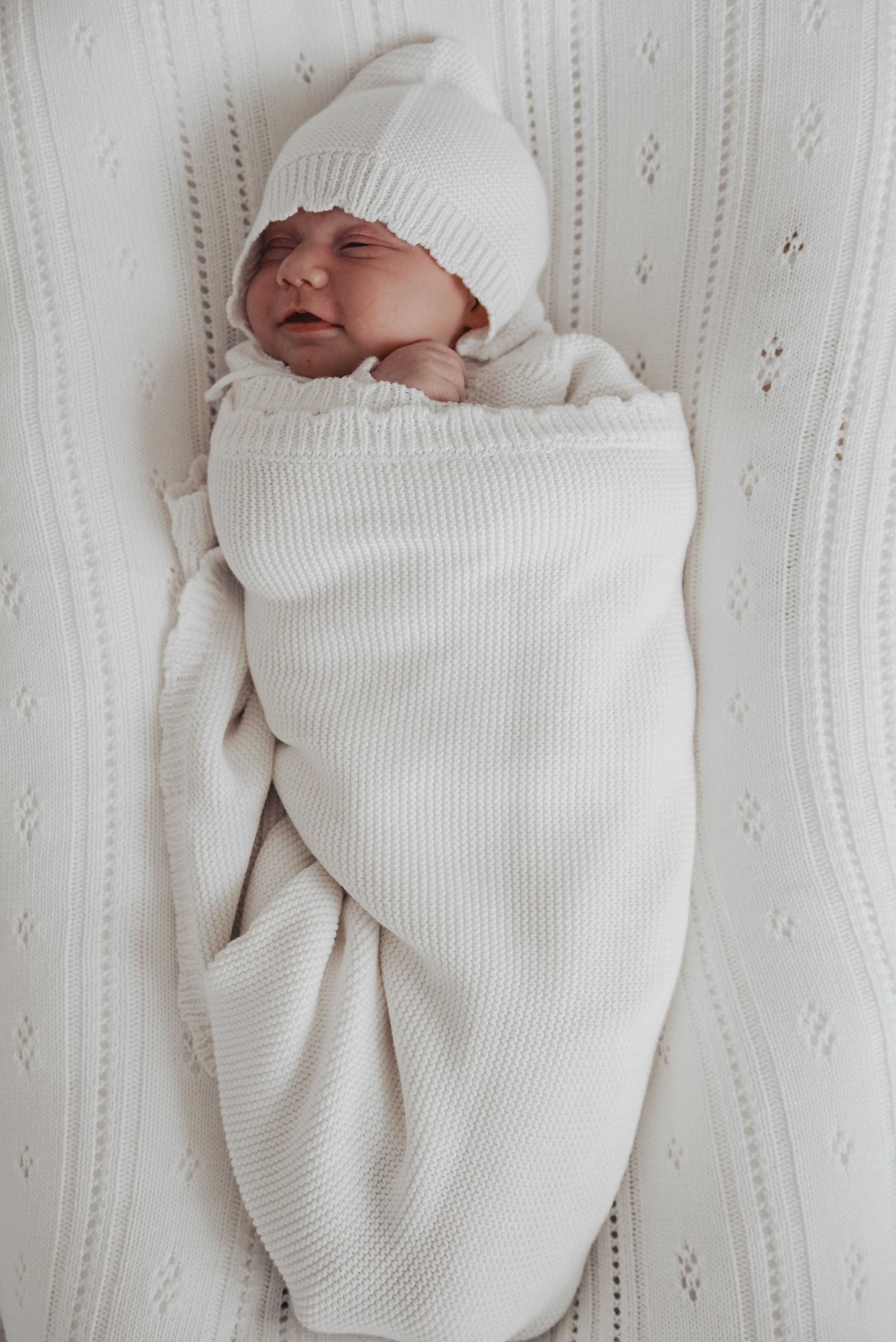 Bring Me Home Scallop Bundle - White Luna + Luca