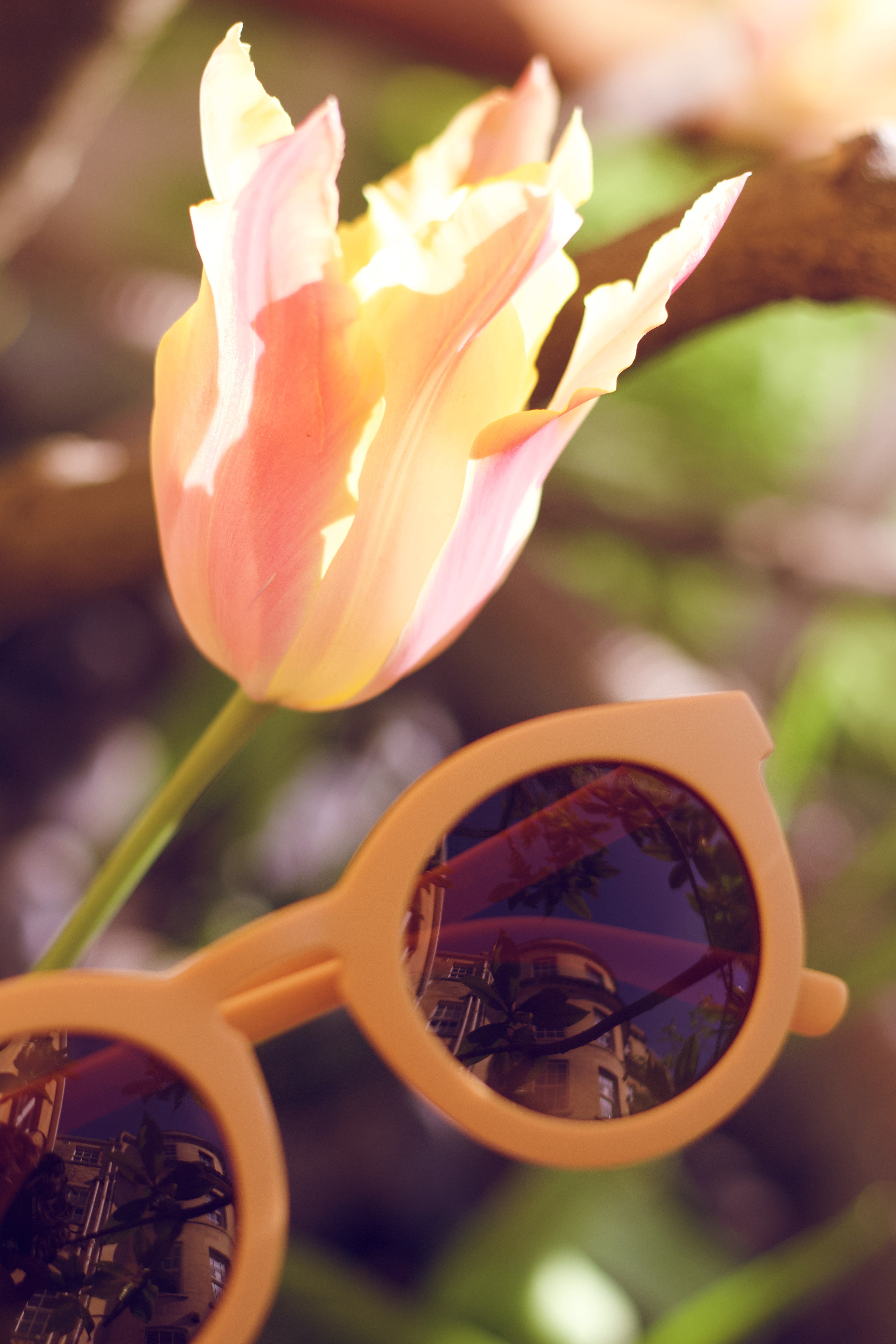 Classic | Sustainable Sunglasses | Plant-Based Bendable Polarized - Adult | 16+ Y | Sunset Gingham