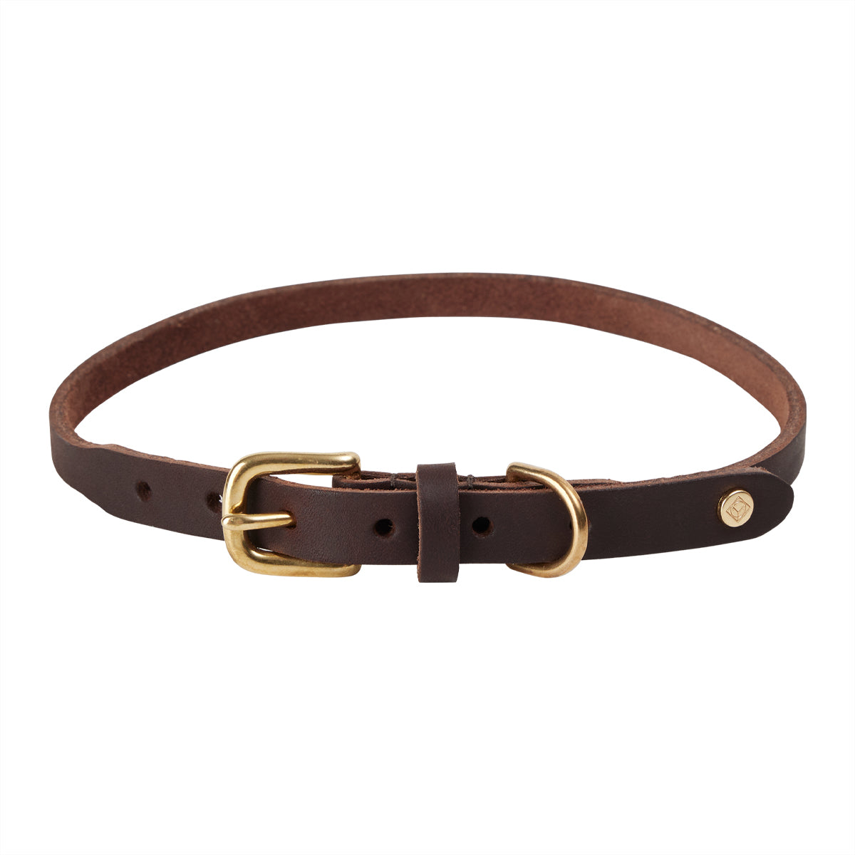 Robin Dog Collar - Choko
