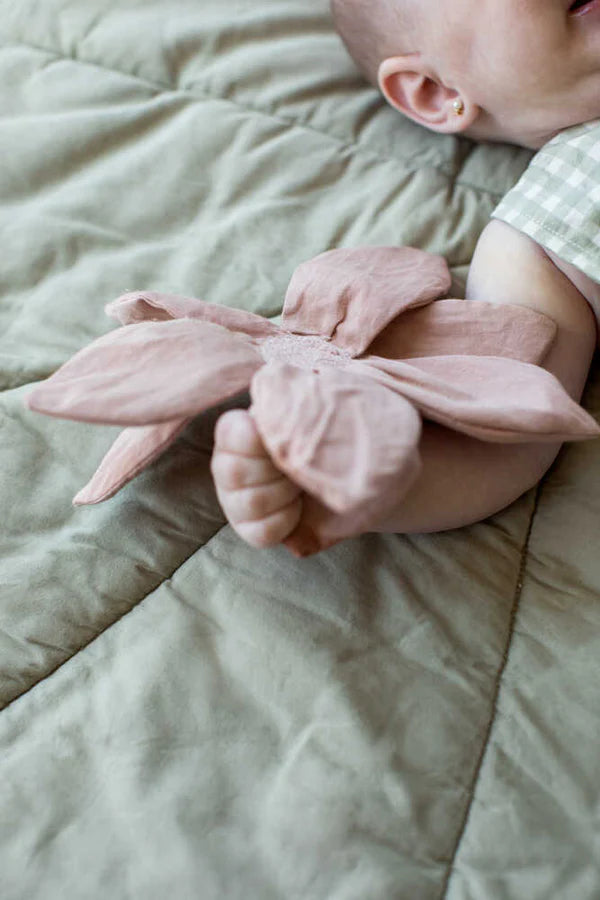 SET OF 3 CRINKLE AND RATTLE BABY TOYS LILY POND Little Wonder & Co