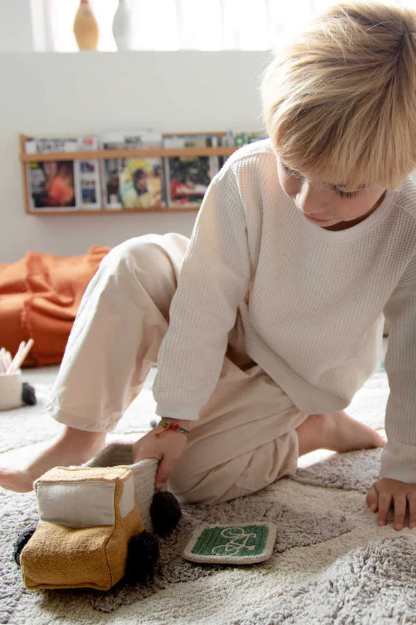 SET OF MINI BASKETS TRUCK Little Wonder & Co