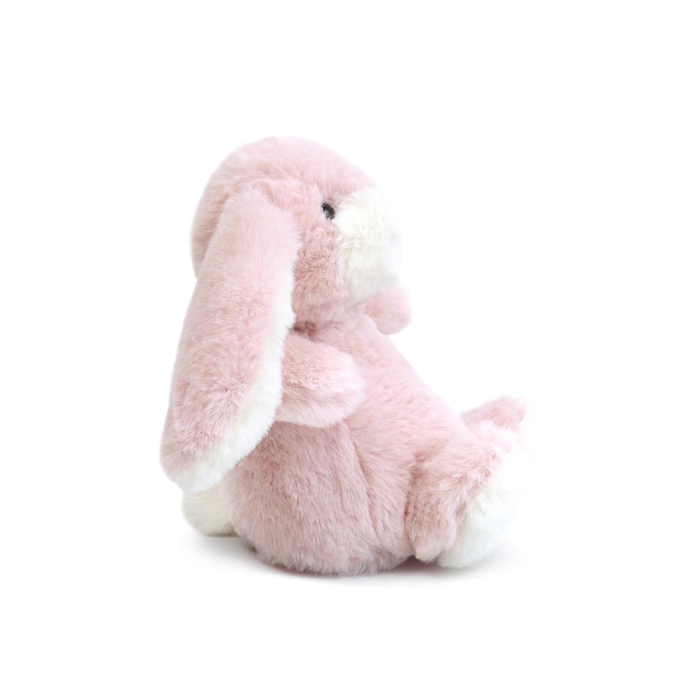 Bun Bun Bunny